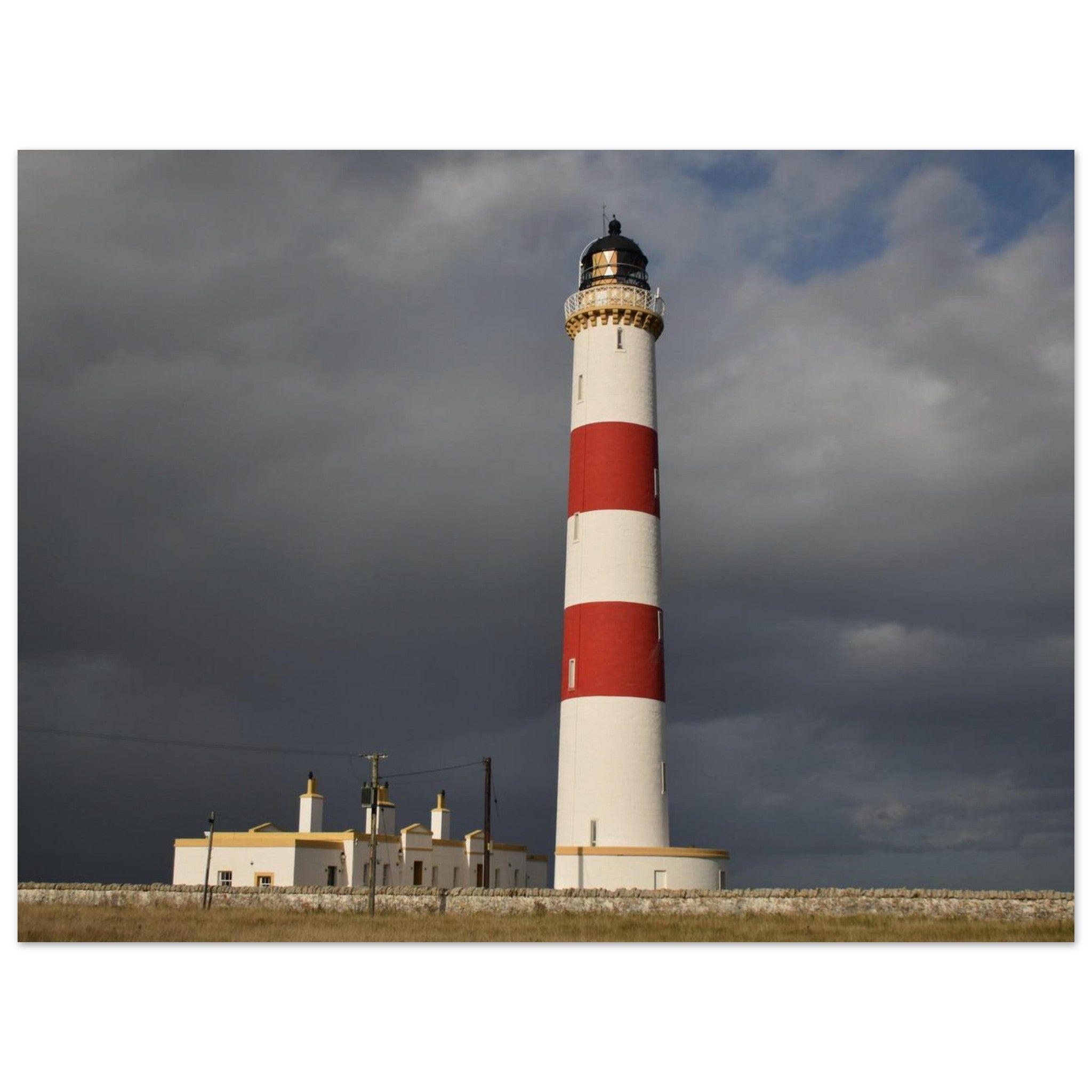 003be386-7d67-4de6-b369-ae2d34986153