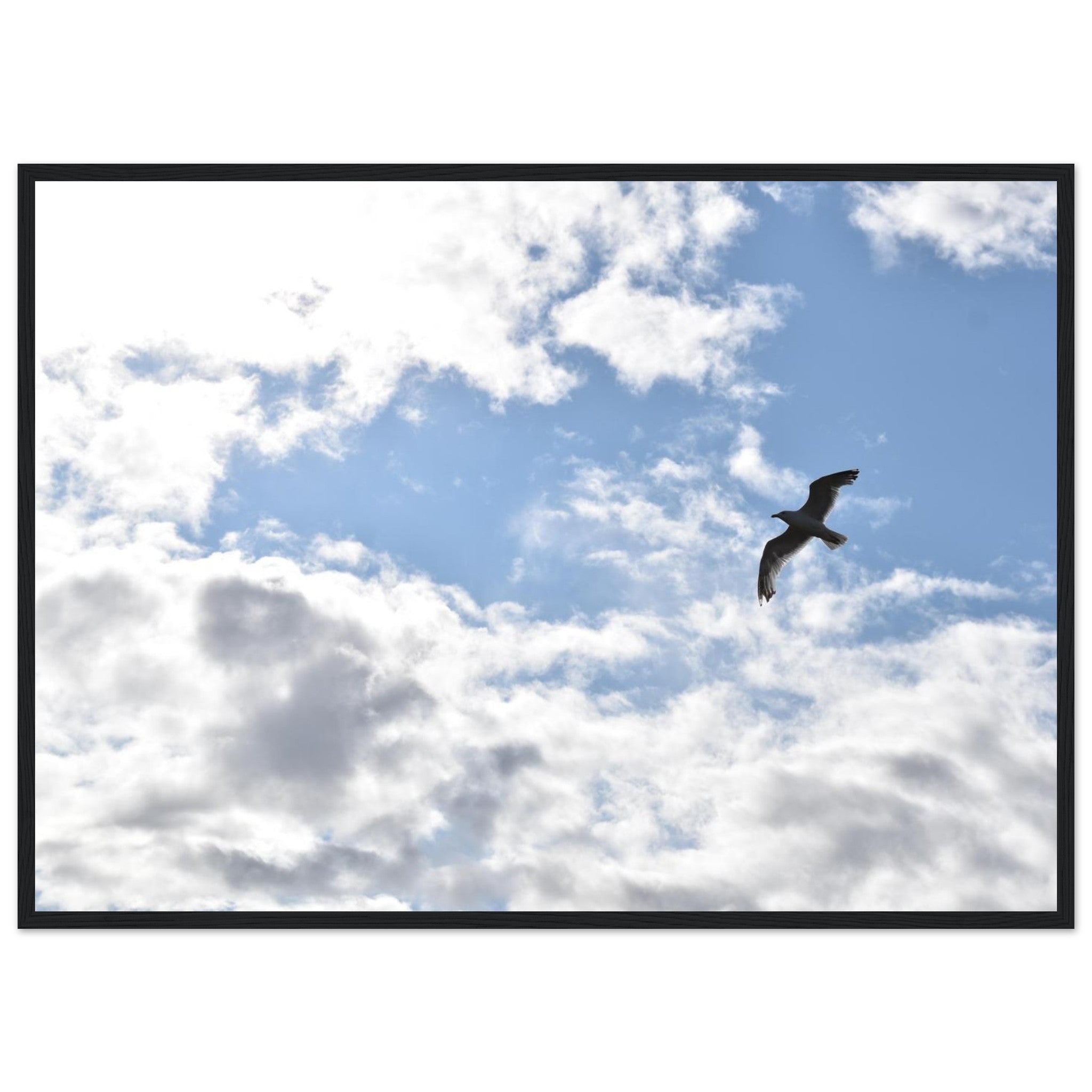 03ab6556-cf16-46af-b212-71efeb0f4c2a