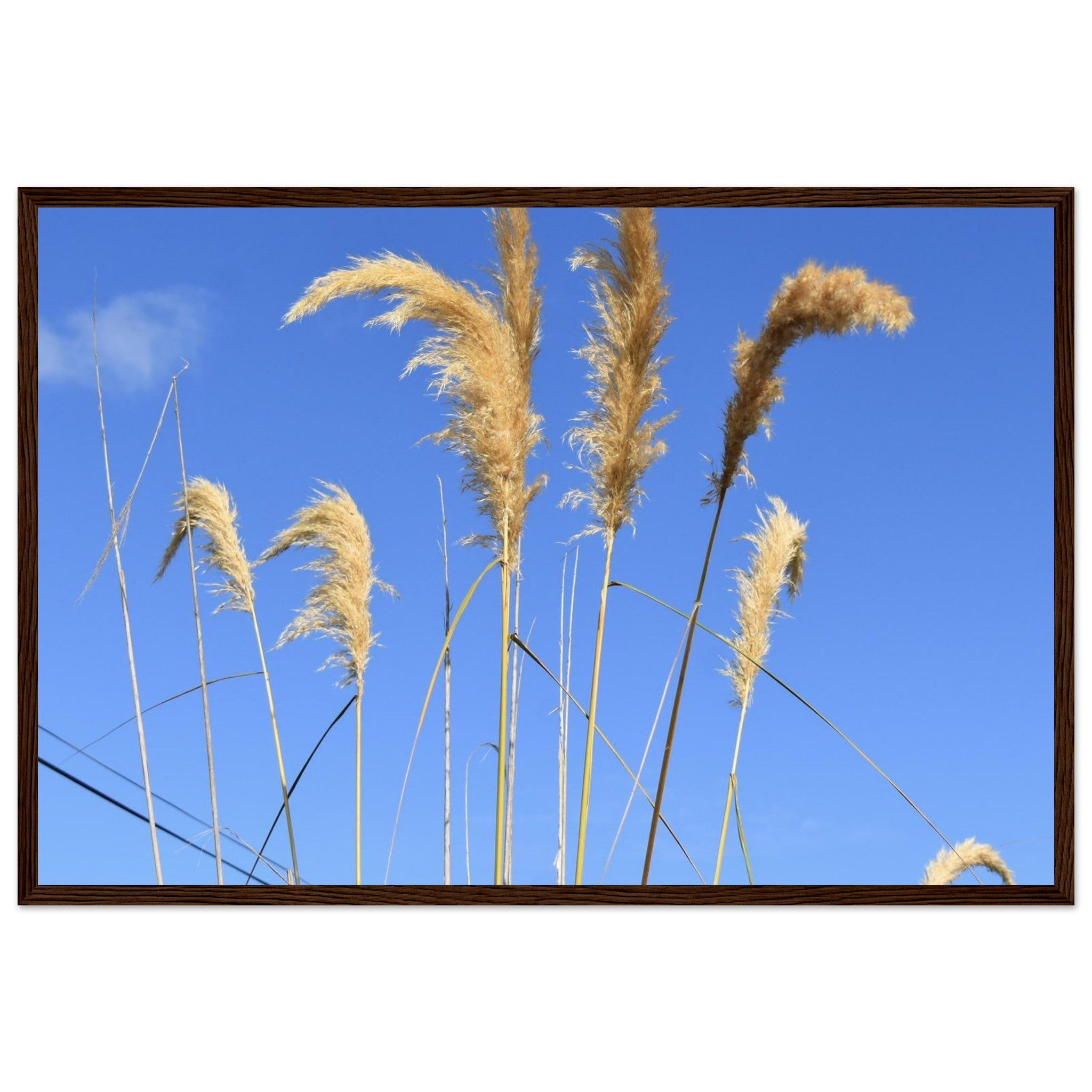 0af3b6e3-0958-4dda-bba3-5852ebeb3403