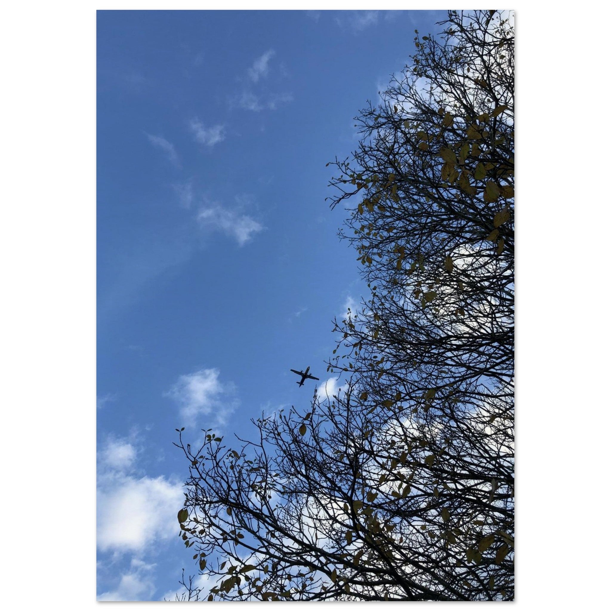 11efb32b-e7aa-40fd-8ae5-2a10ca74e2f6