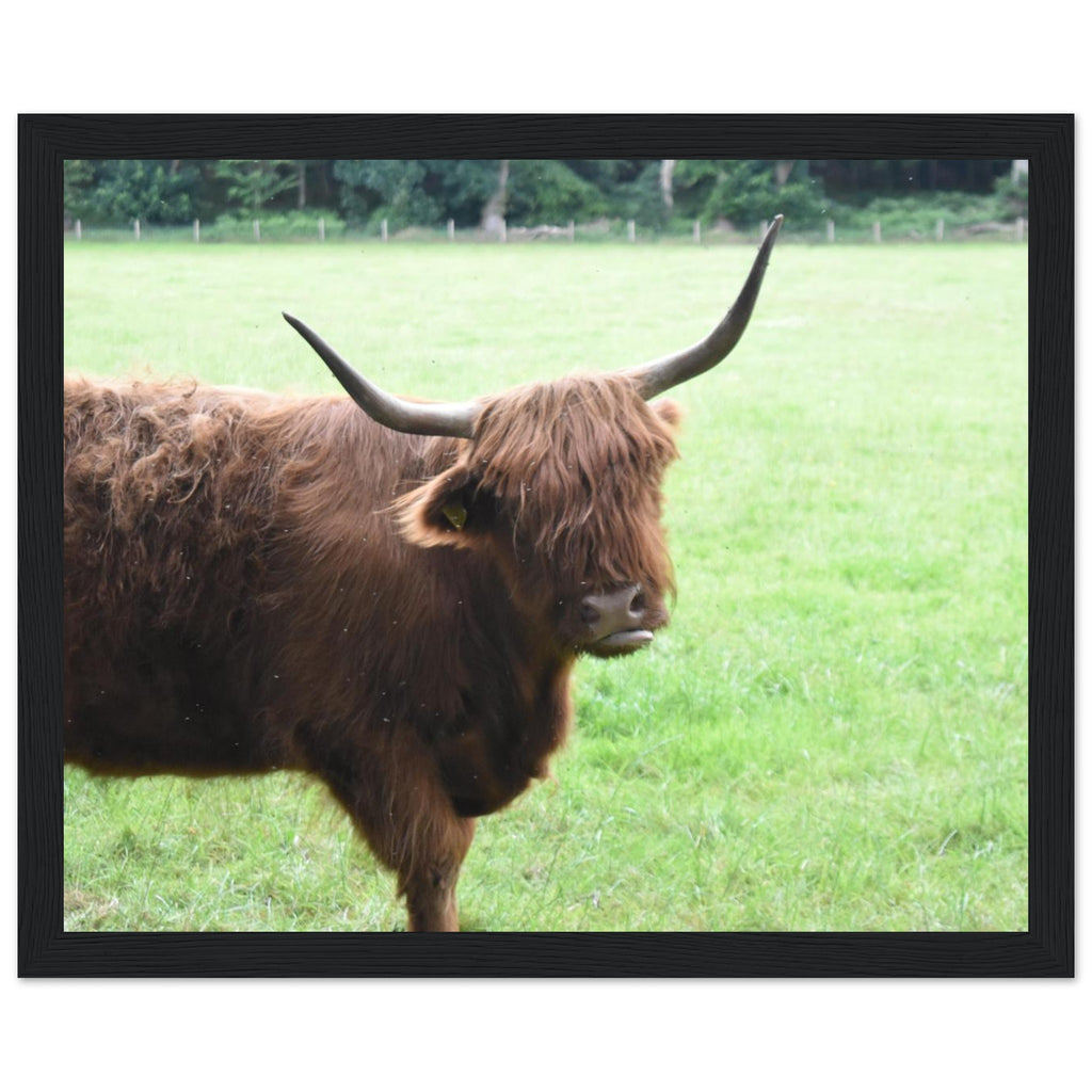 1291264c-b619-4880-beef-fd869f9b56a4