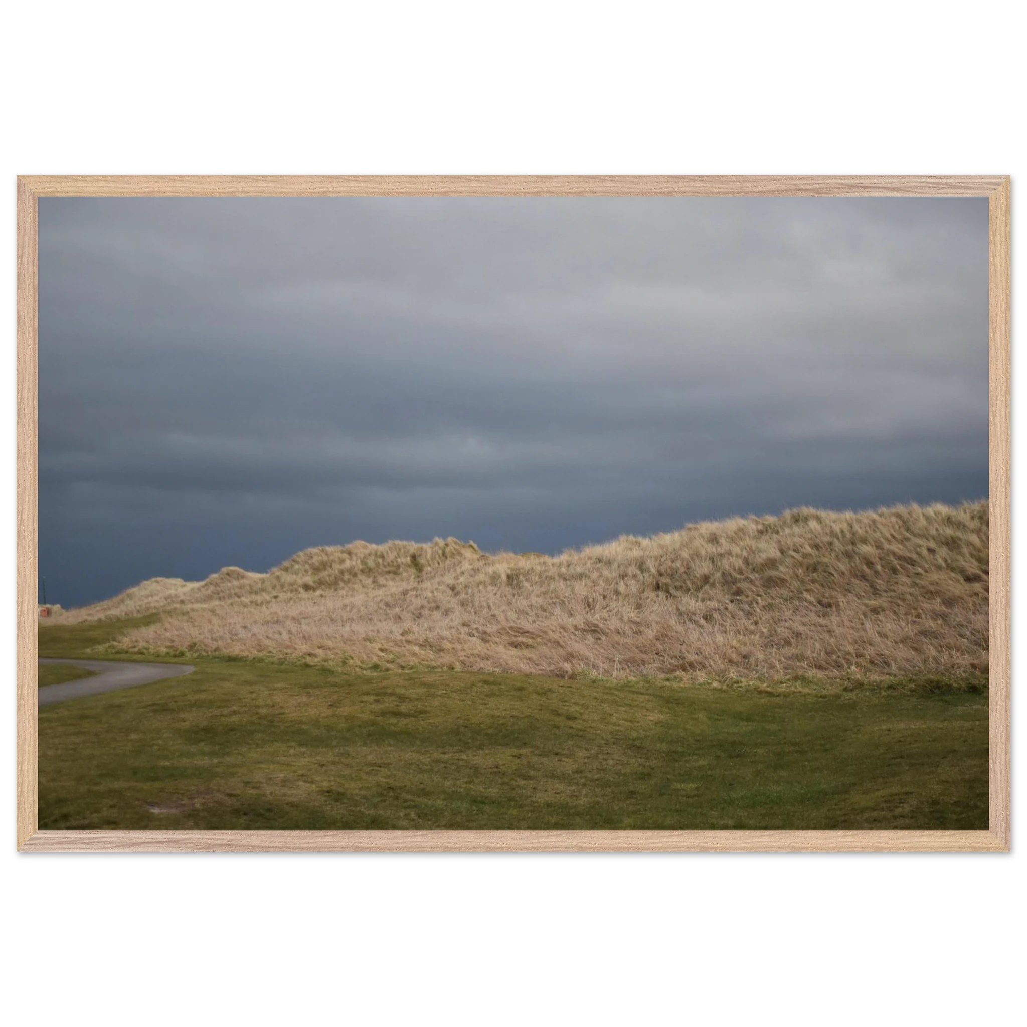 1c728c62-26e1-40fb-9b07-608518989c98