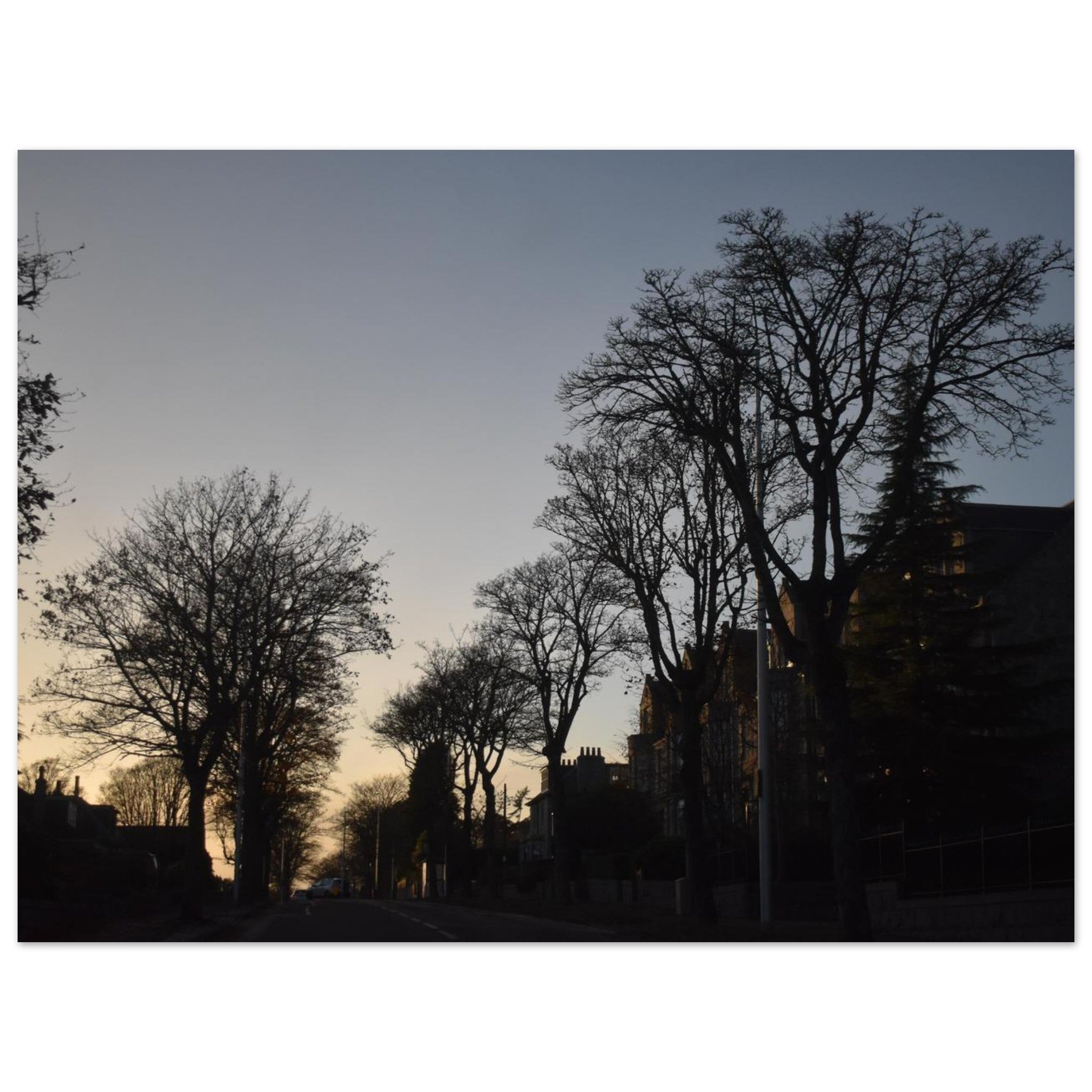 1de203c1-dd56-4516-a756-b601584bc974