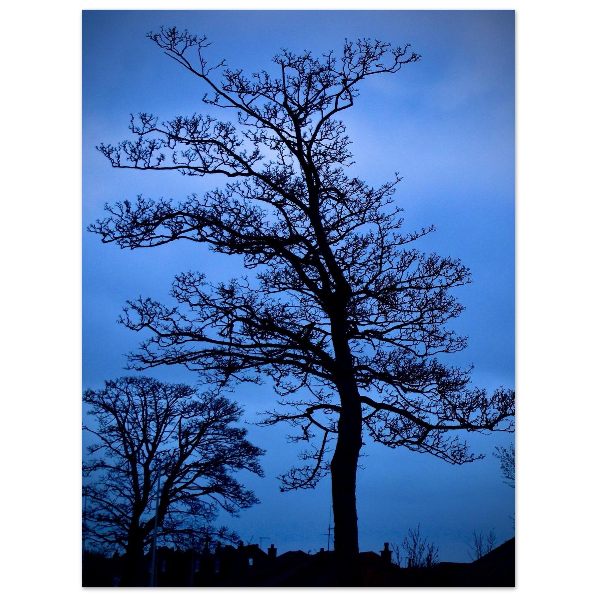 1fa62f50-d095-47cb-bb9f-6d97dbe8b755