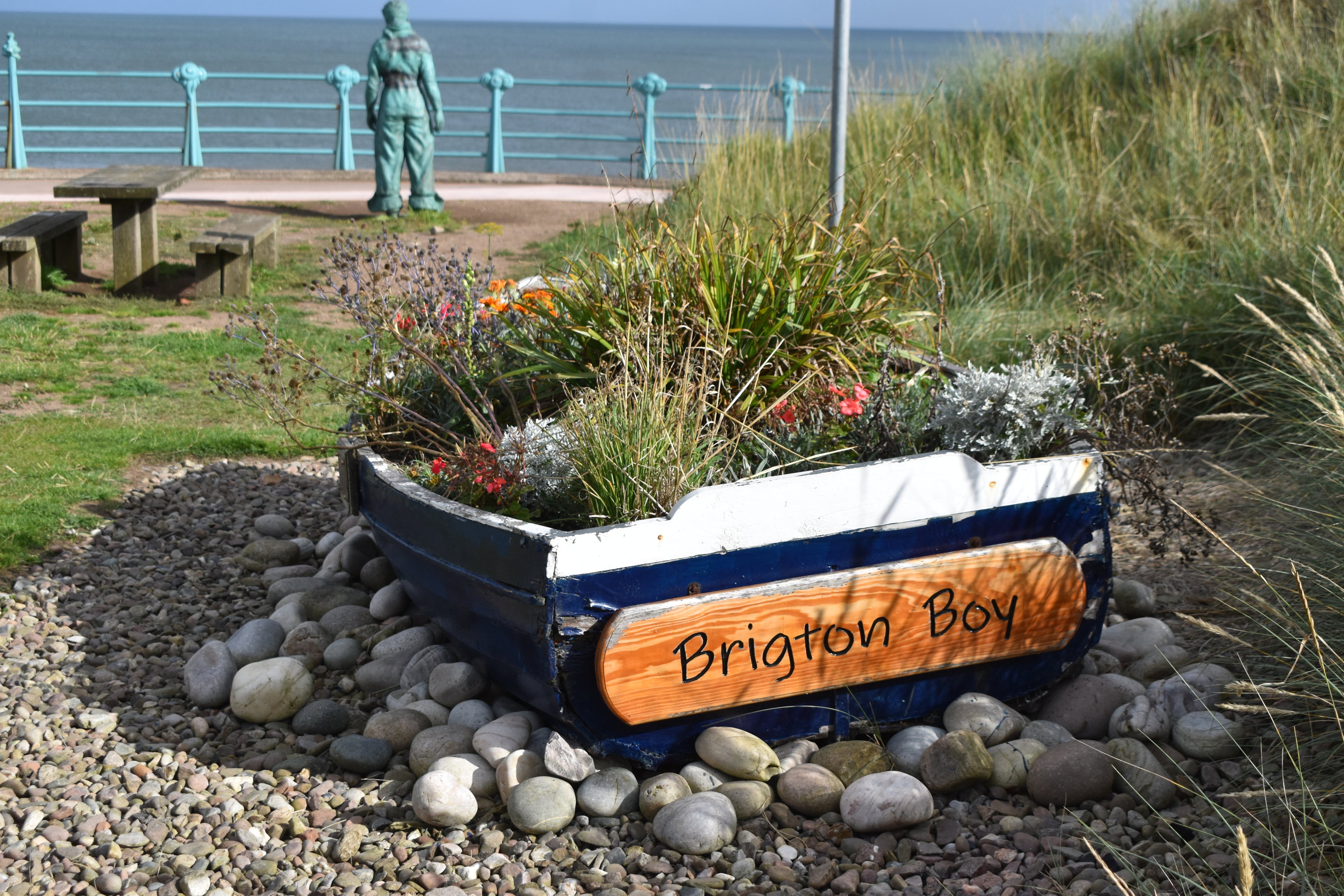 Brighton Boy — Coastal Charm