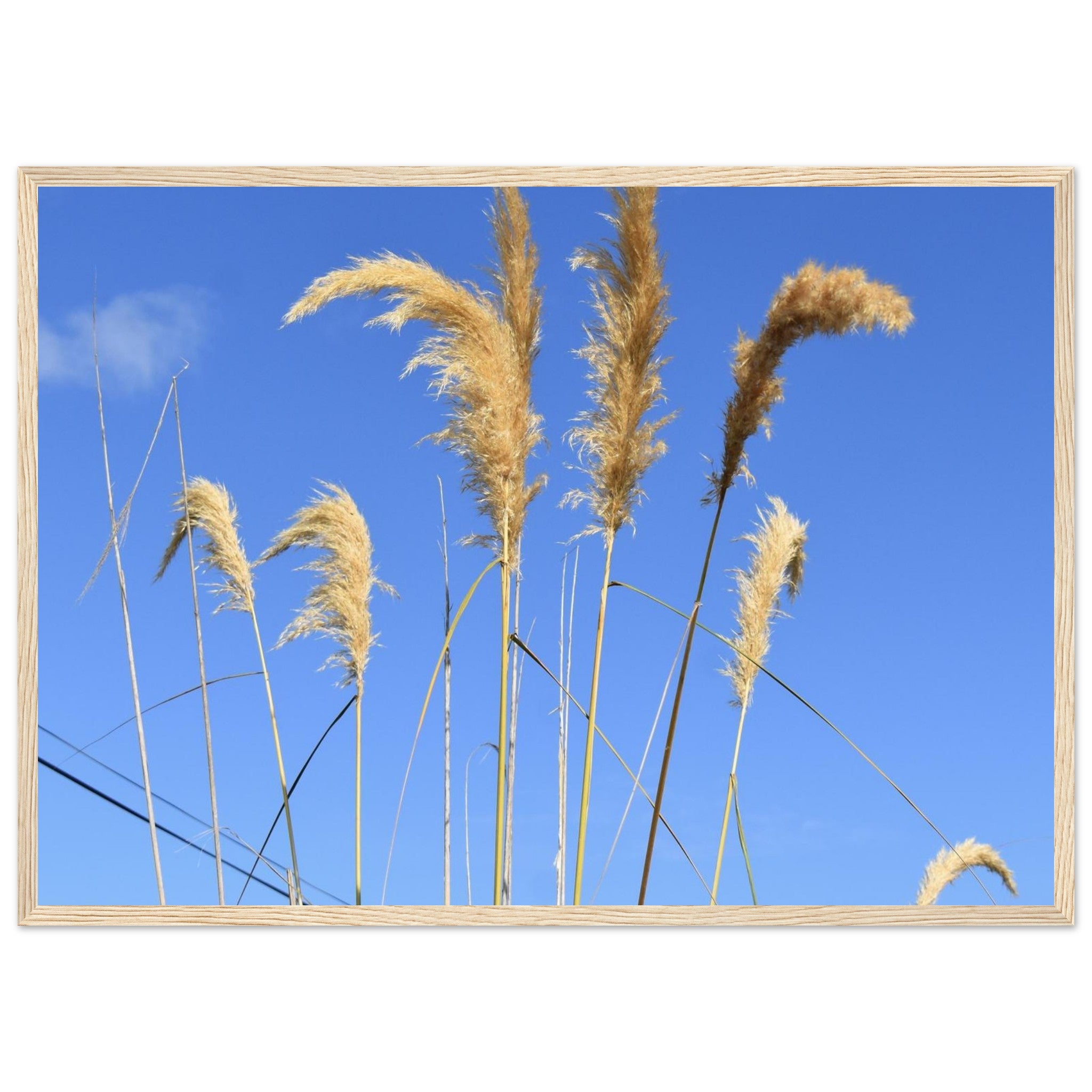 29ff4915-e84c-4e77-91e3-d3bbb9399d8a