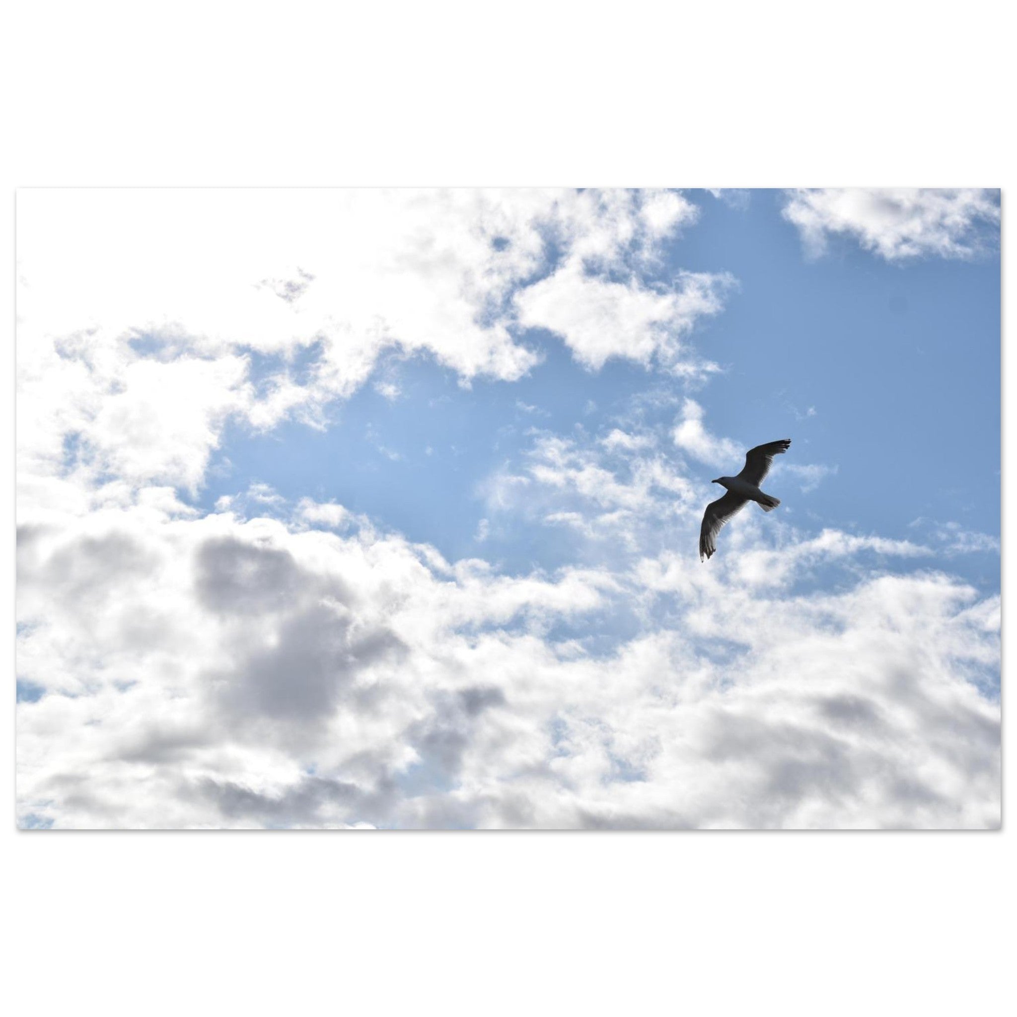 2a1f8979-5241-45cf-95a1-2e1266b5fa09