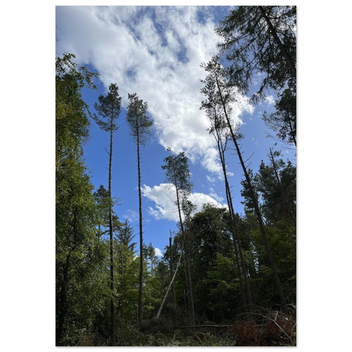 2f773b50-a811-4a4a-8379-cf0ec108501a
