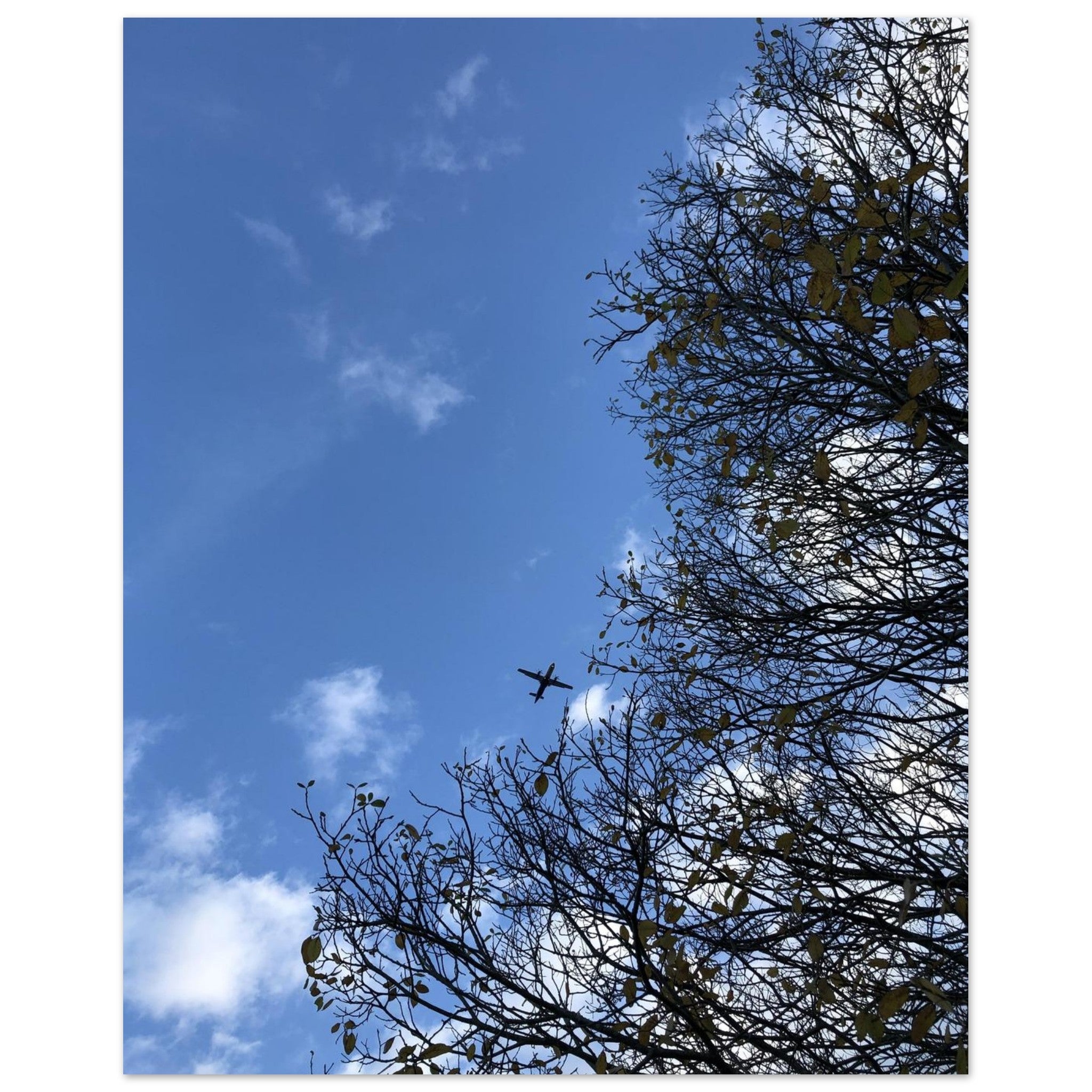 3071295d-8b80-4025-8784-ff8f04594381