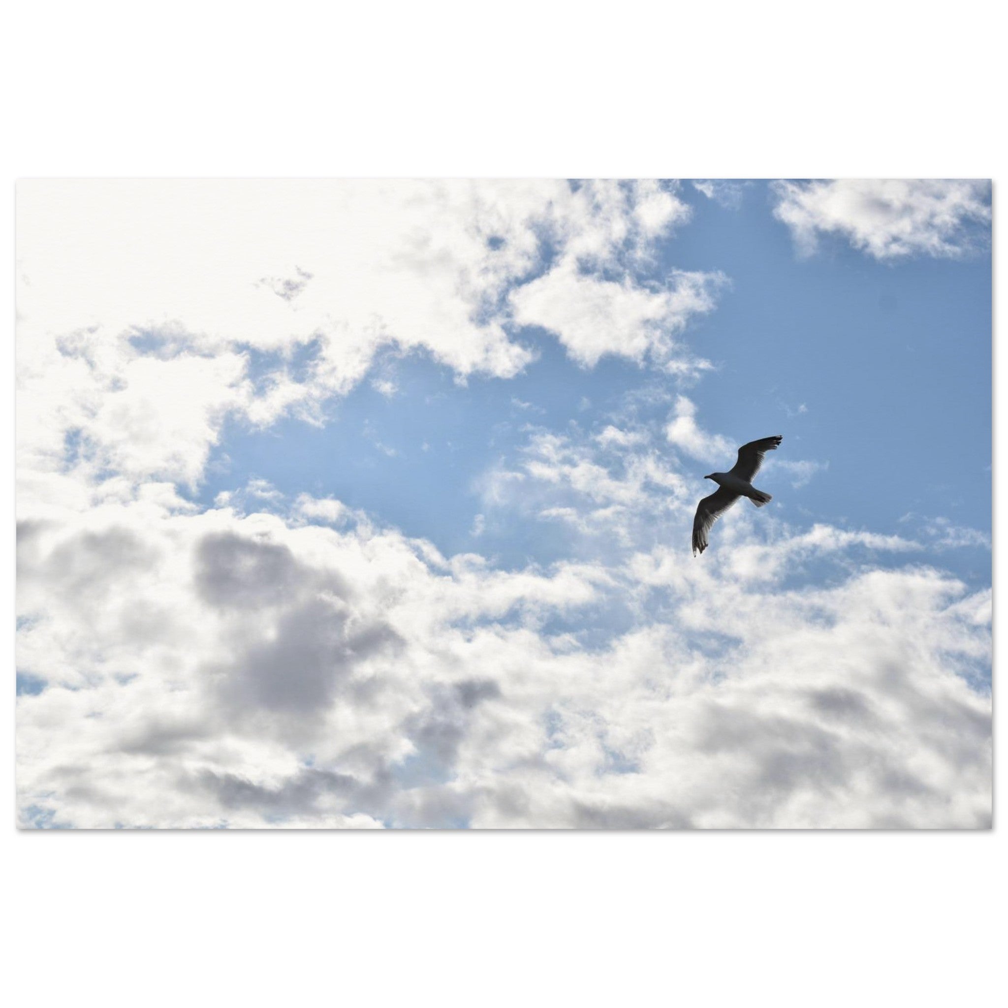 318d8c49-8add-4b4b-bd82-fec7e5c556e5