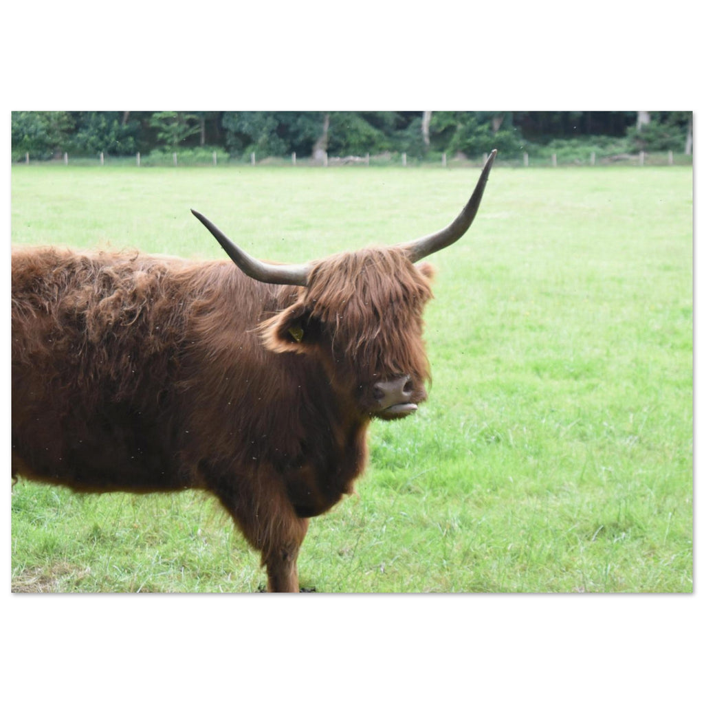 378966a5-d274-40cd-b1c0-d8441a6958e6