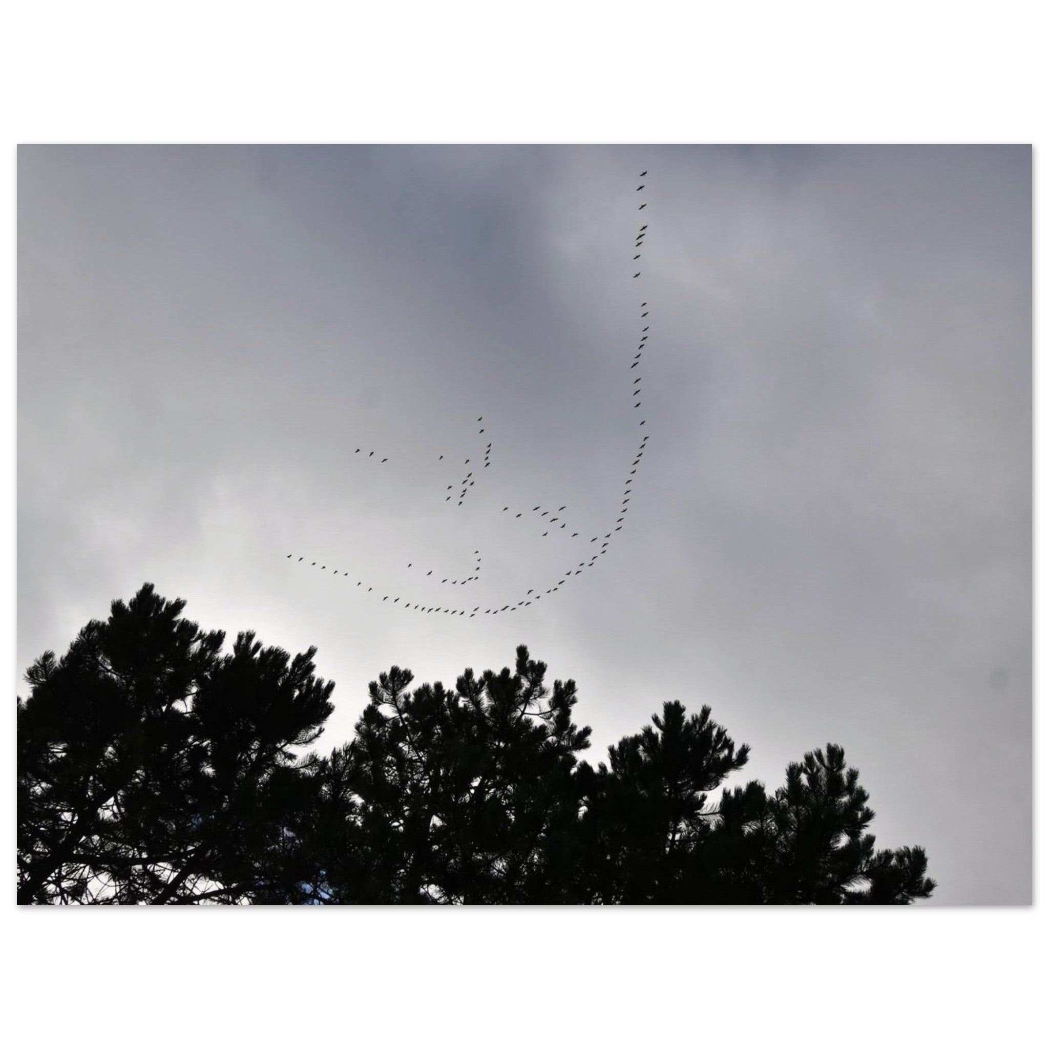 3b855e4b-faa1-4e24-8c3c-f43e34e20fcf