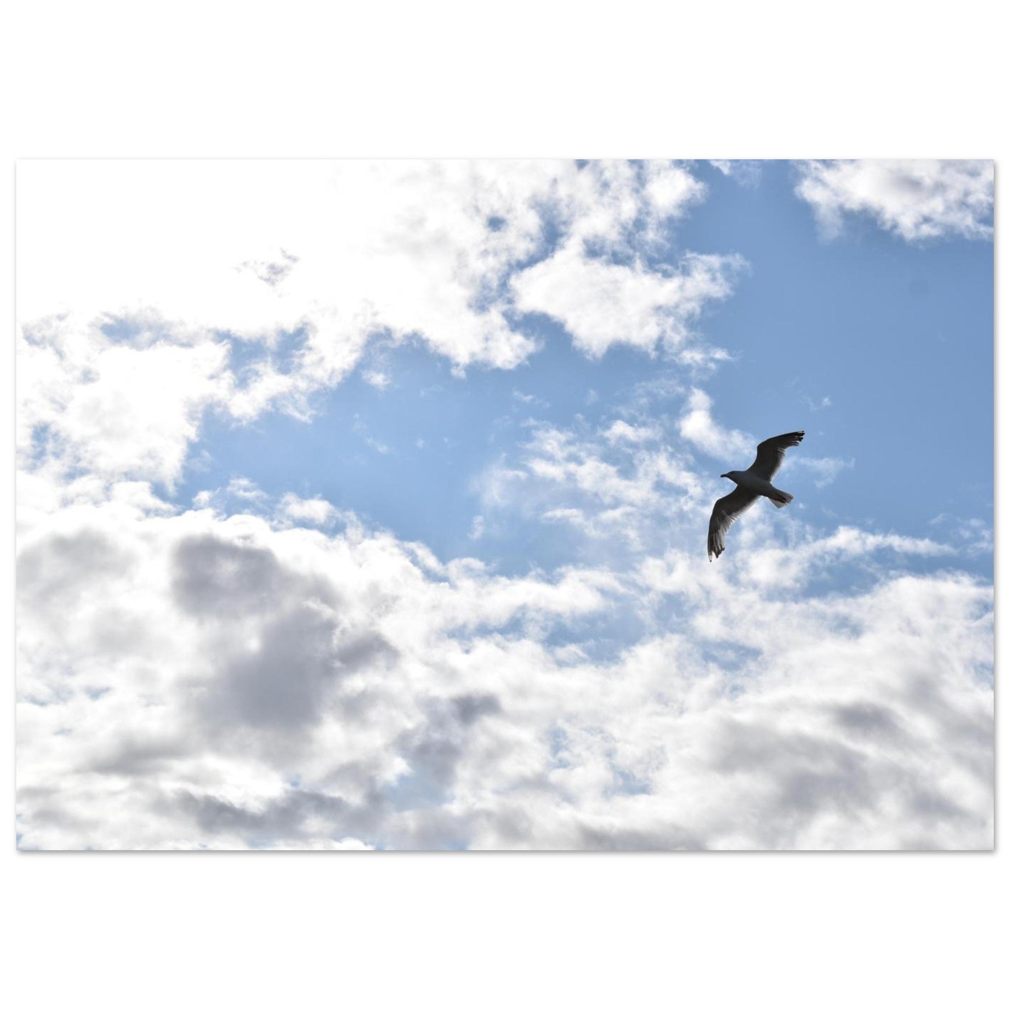 3df680be-975d-4780-9b7b-a689f57272ef