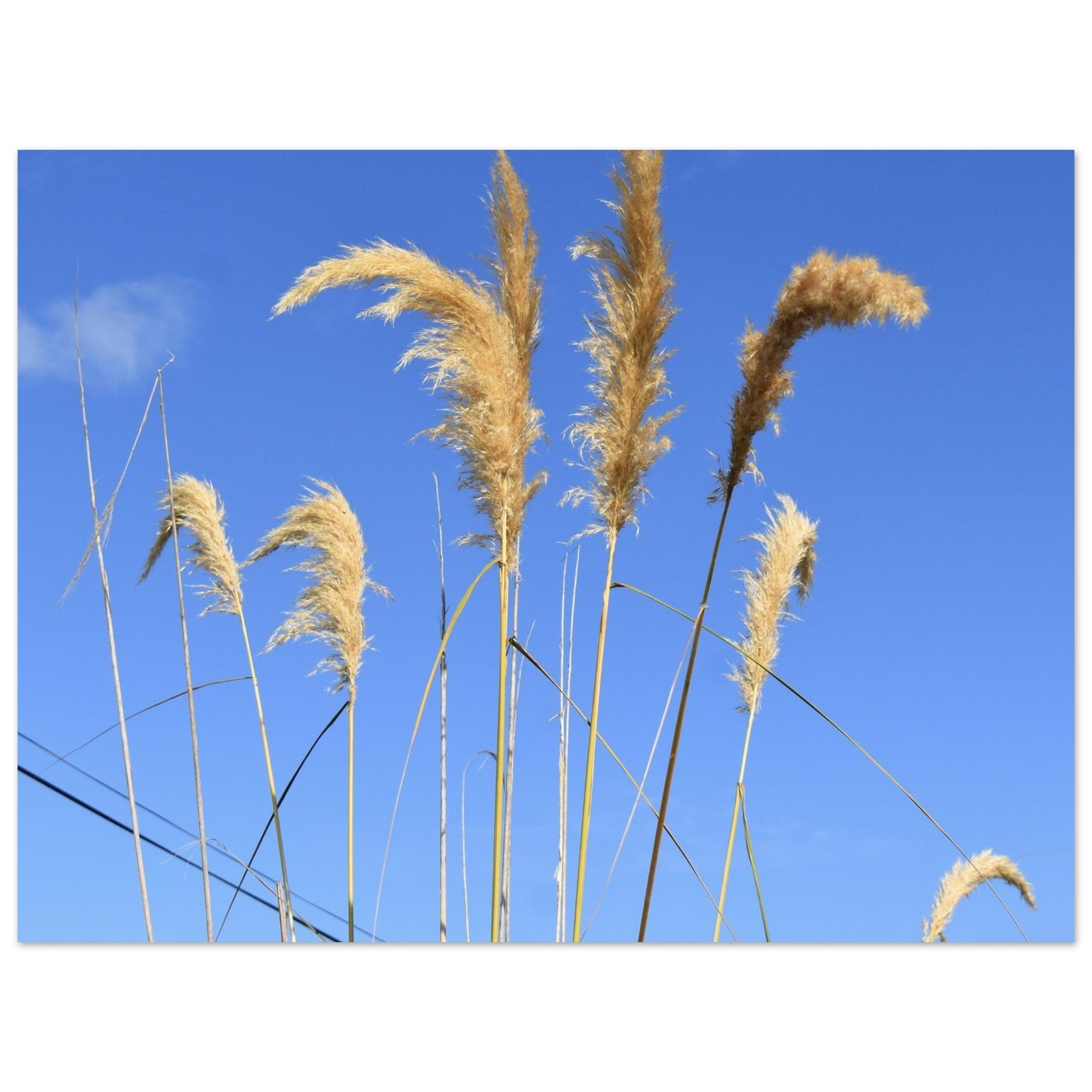 3e551ecb-fa2a-4e57-81b0-a98ab2edaaf0