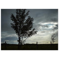 493454fb-1f32-46bd-9886-ba0cd4546ba2