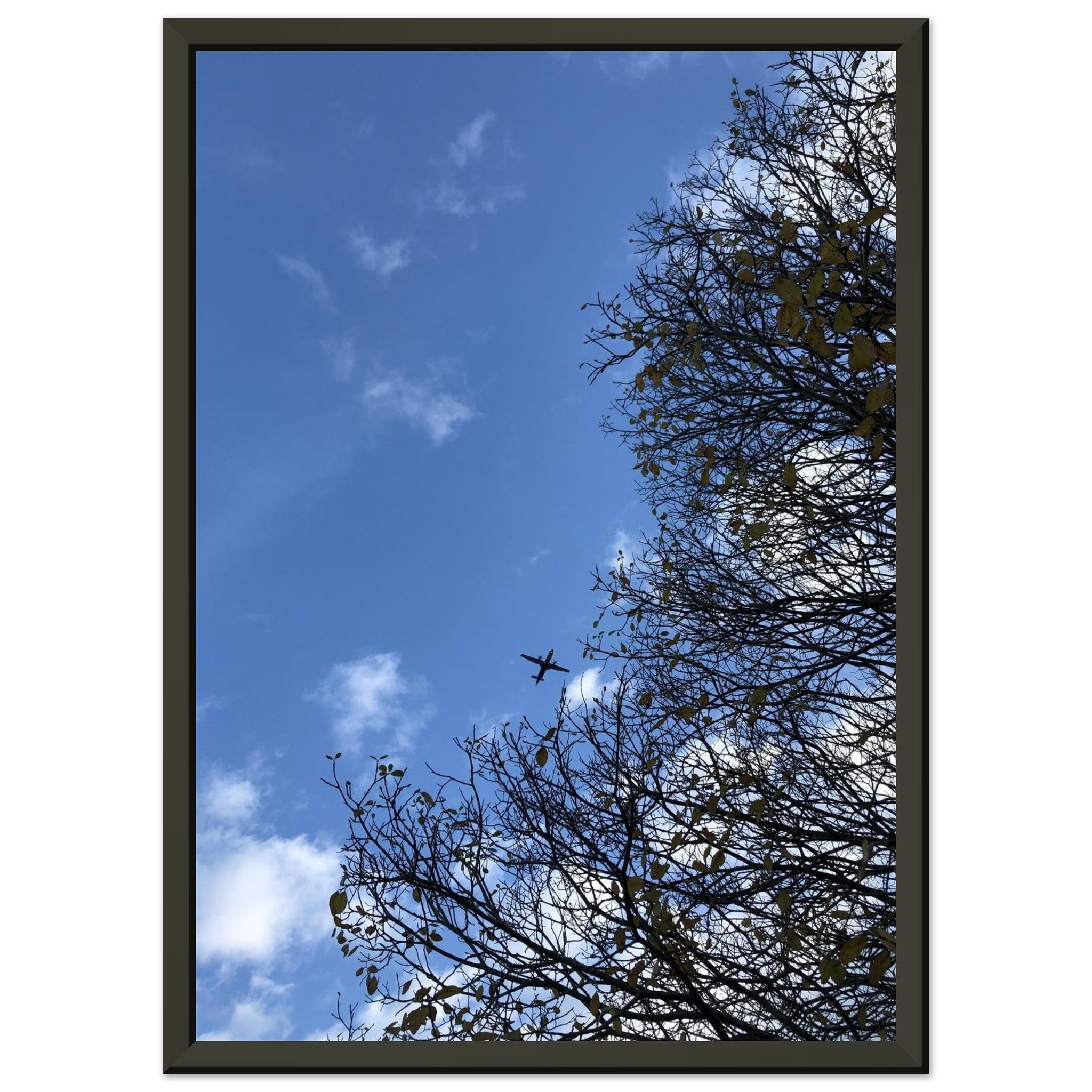 4b4e81ff-f7a6-49f5-af4f-003e07935e26