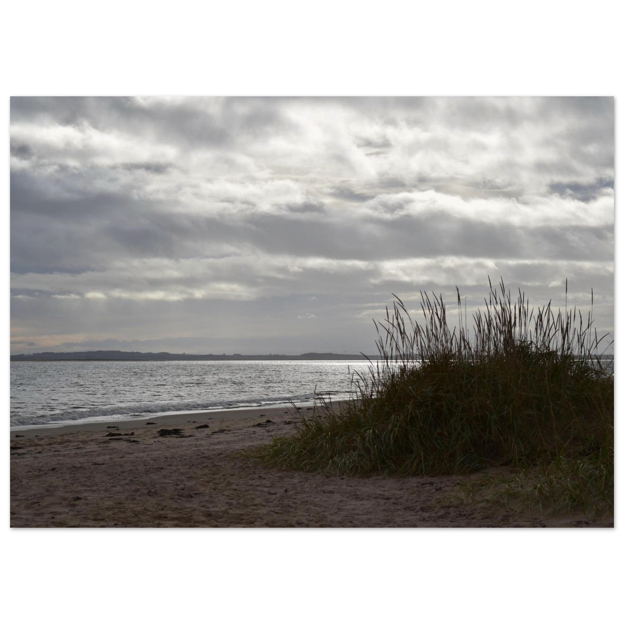 4cf17418-19fe-439d-aa40-02da1140e19c