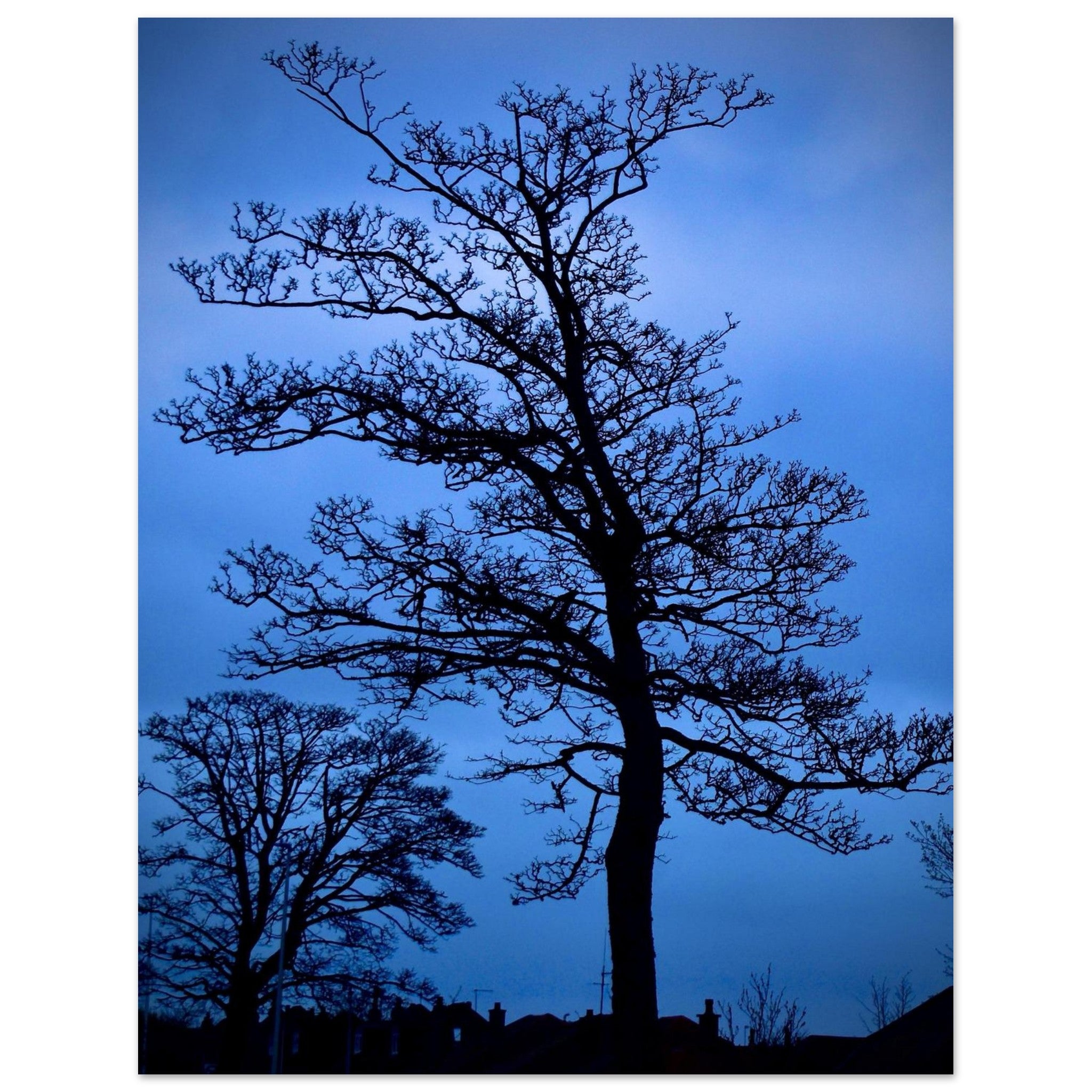 4fd1a321-0644-4b3e-b5ef-76e5c24f1426