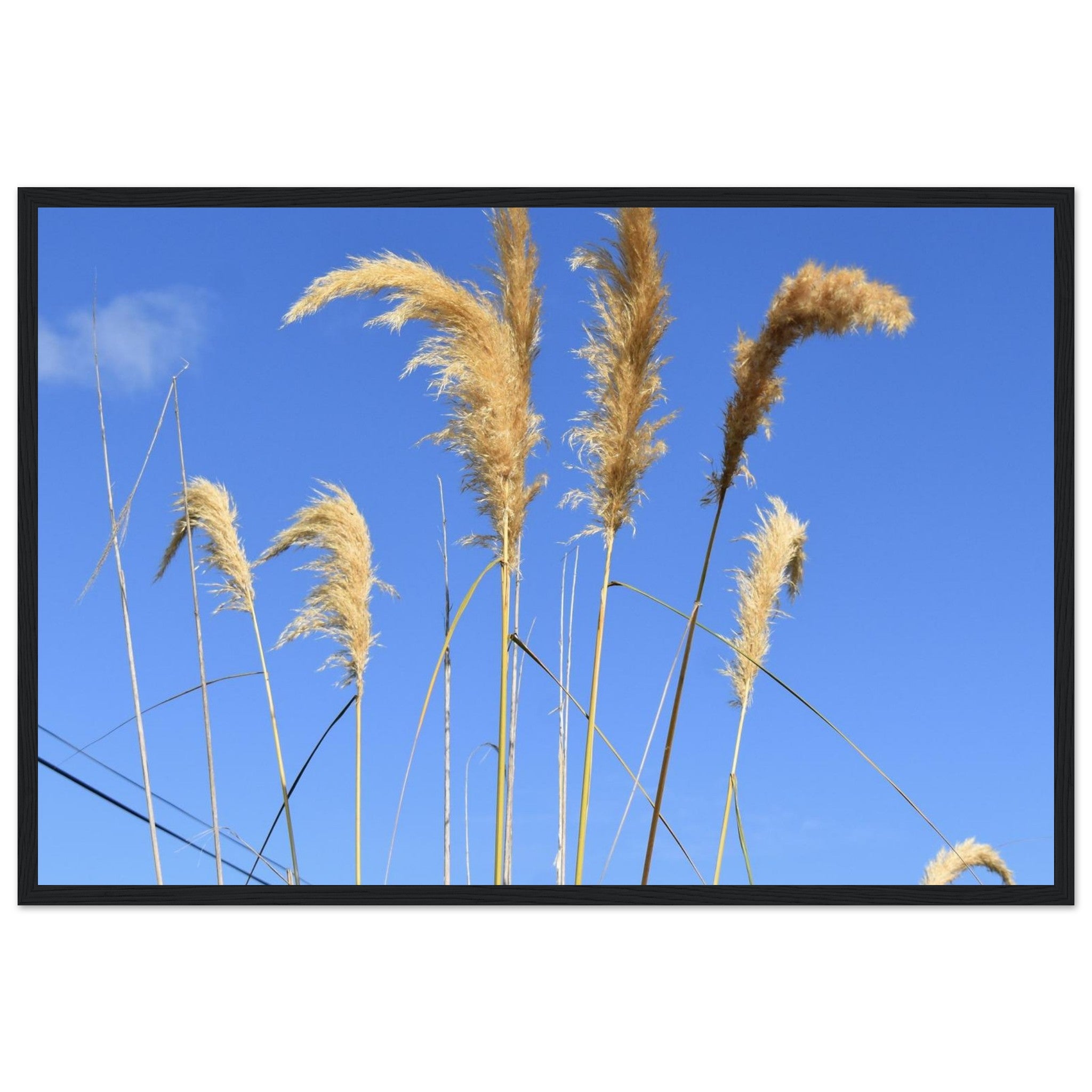 5713d3da-cb05-4ce7-a167-6d12b44a49f5