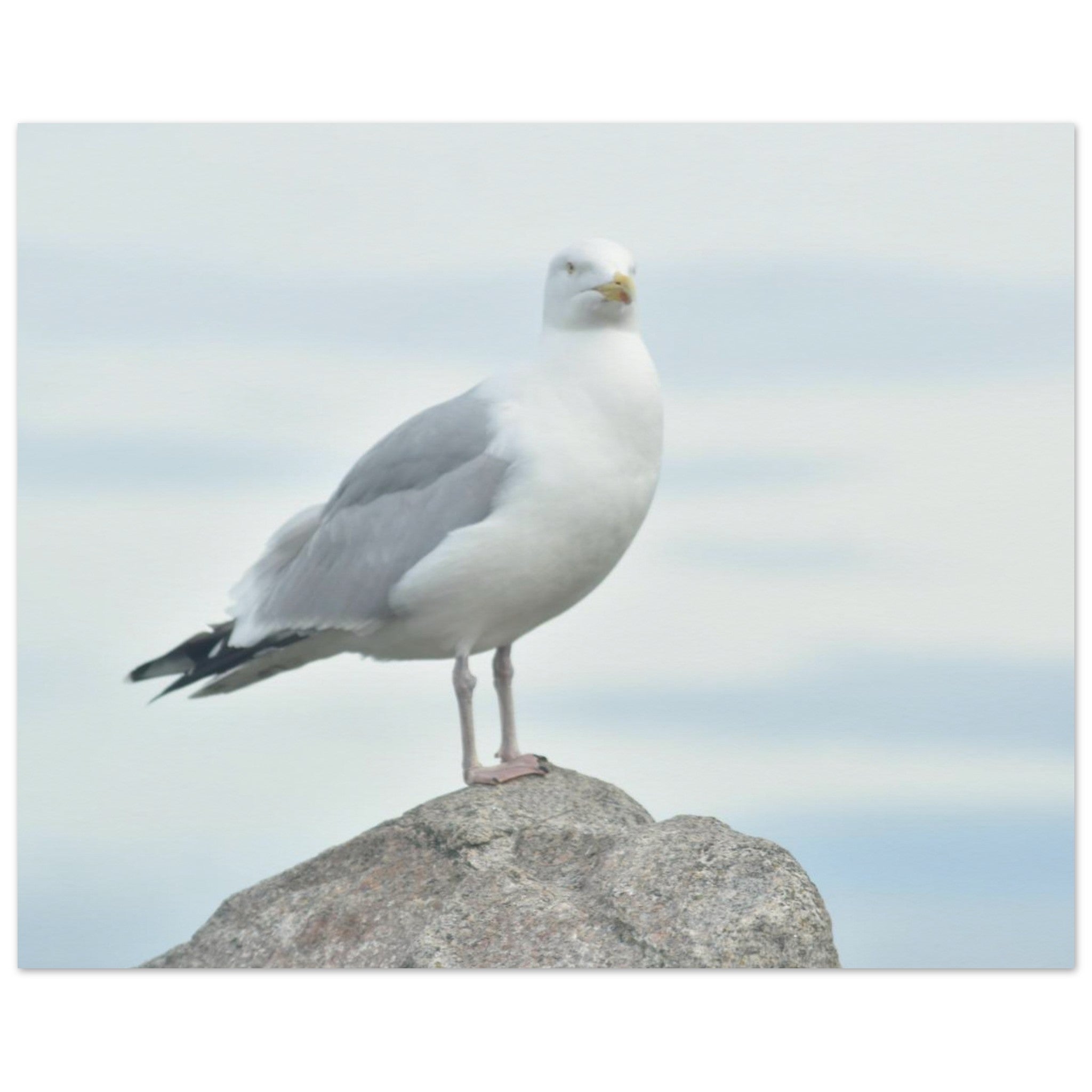 5dab0660-ed70-43df-a1af-19a60e9746ec