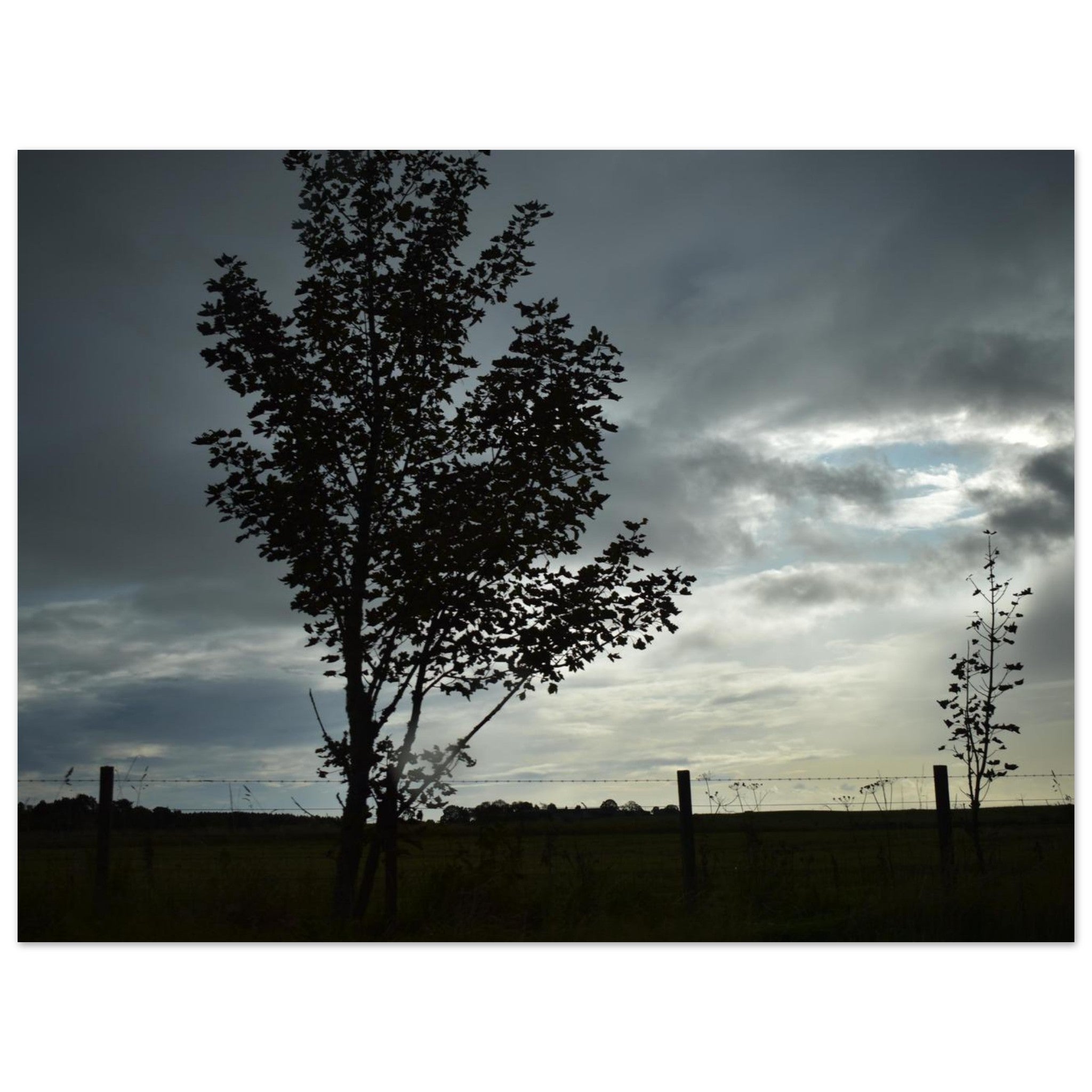 5f4d9542-85be-4ebb-a018-7ffbb02630d8