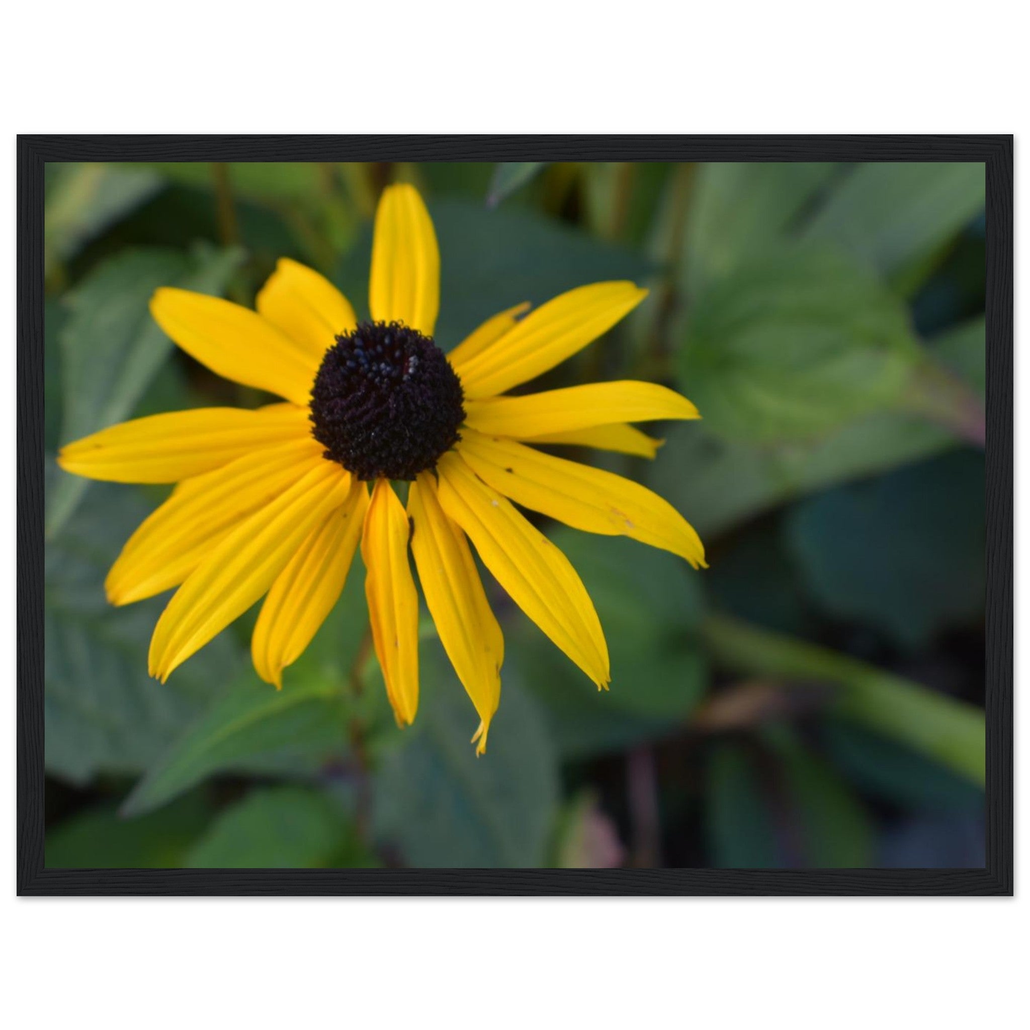 6096c596-525c-4853-a3af-57624deb4b15