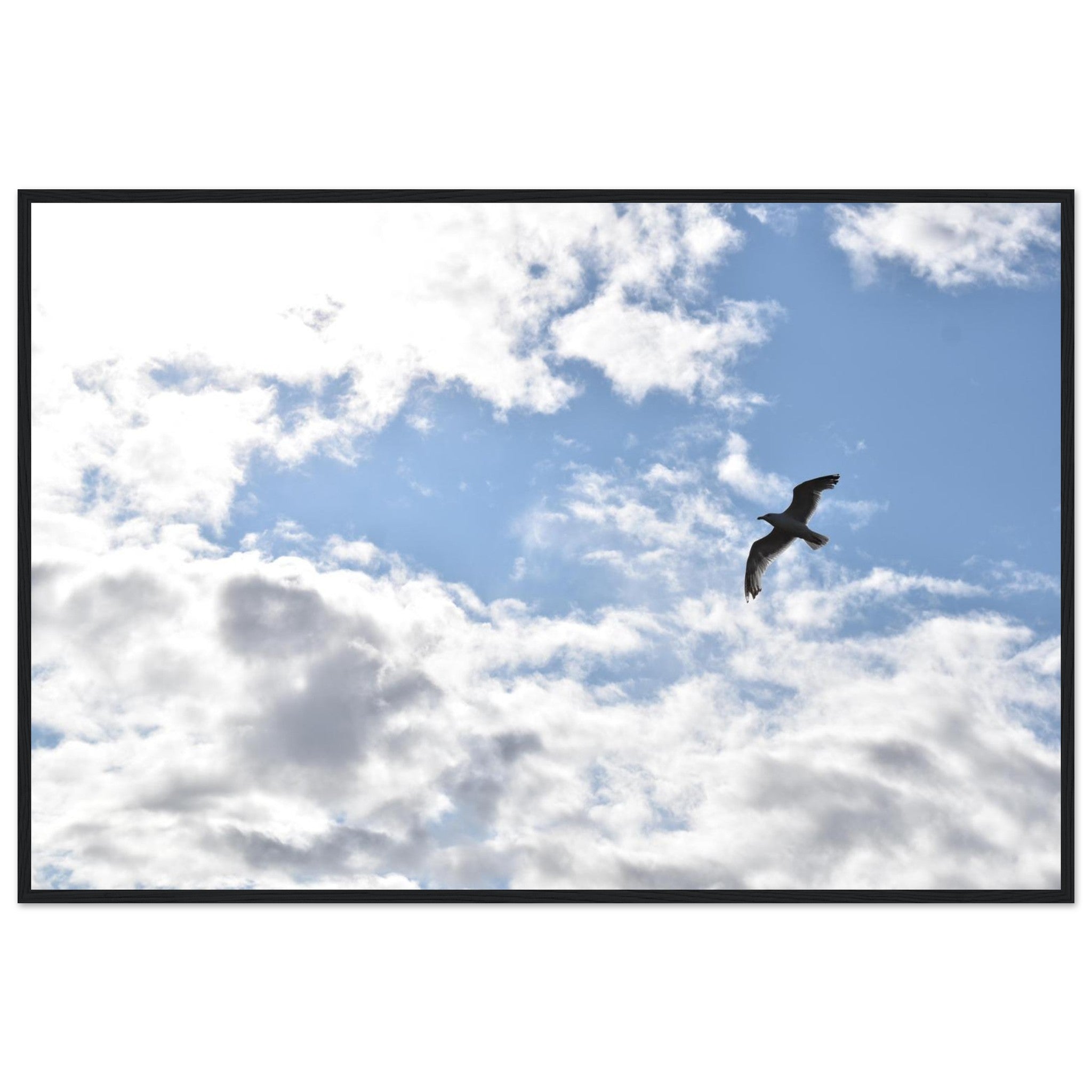 62cb712f-c892-48d1-9276-8ea9c38c8eb6