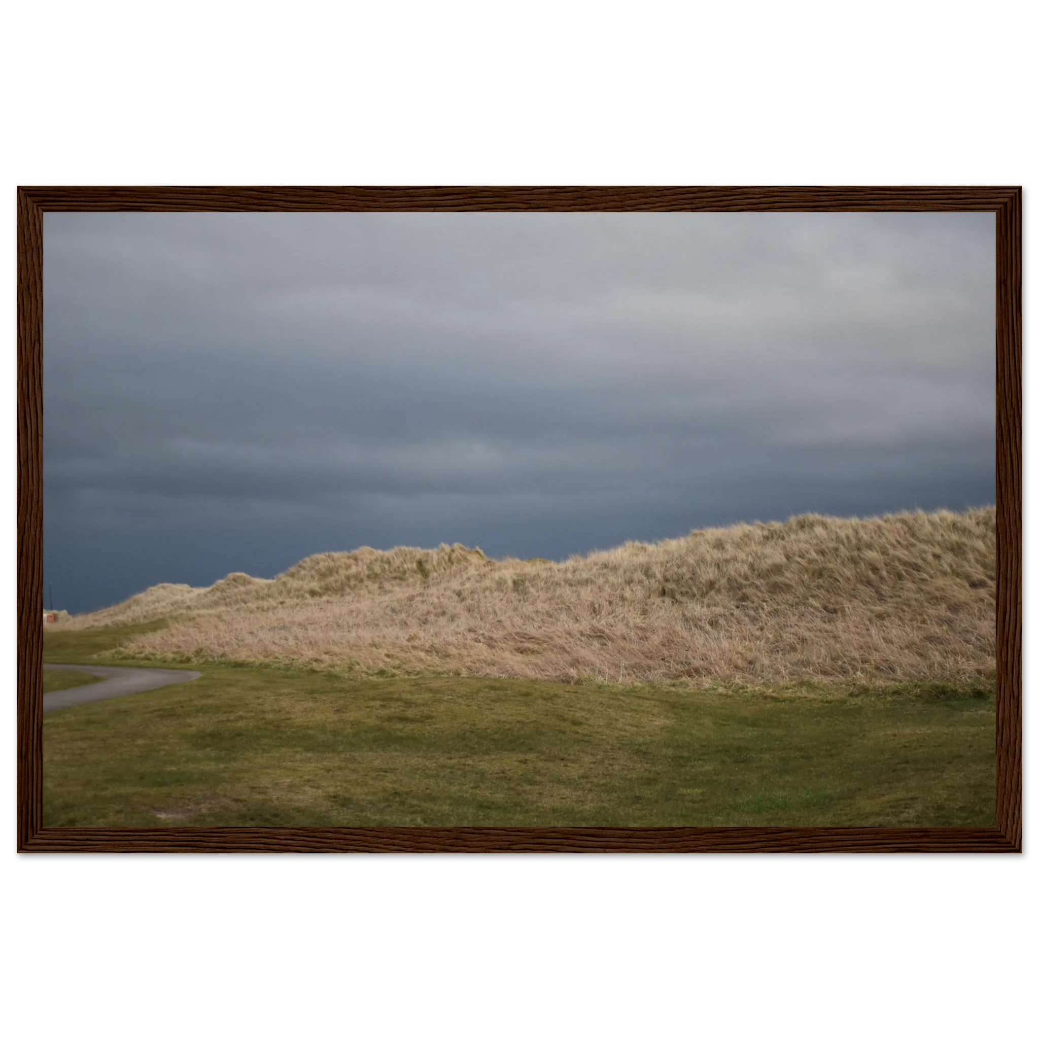 64e9ef33-371a-4cad-a919-5e99efd0623d