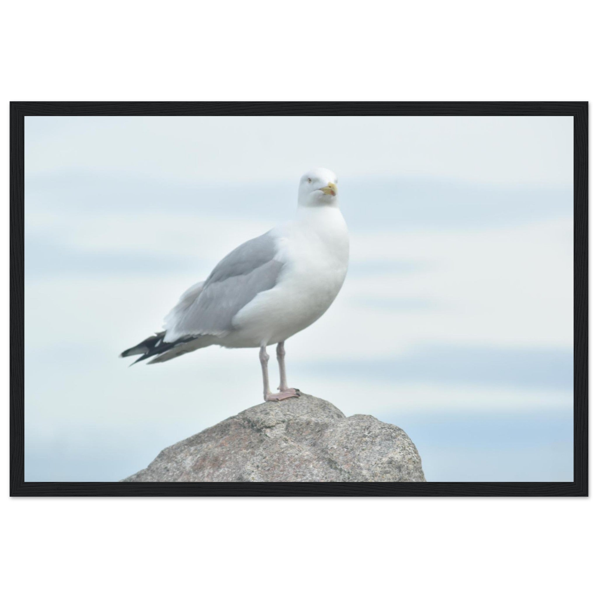 7031b524-2cad-4518-9674-4de0c2294a90