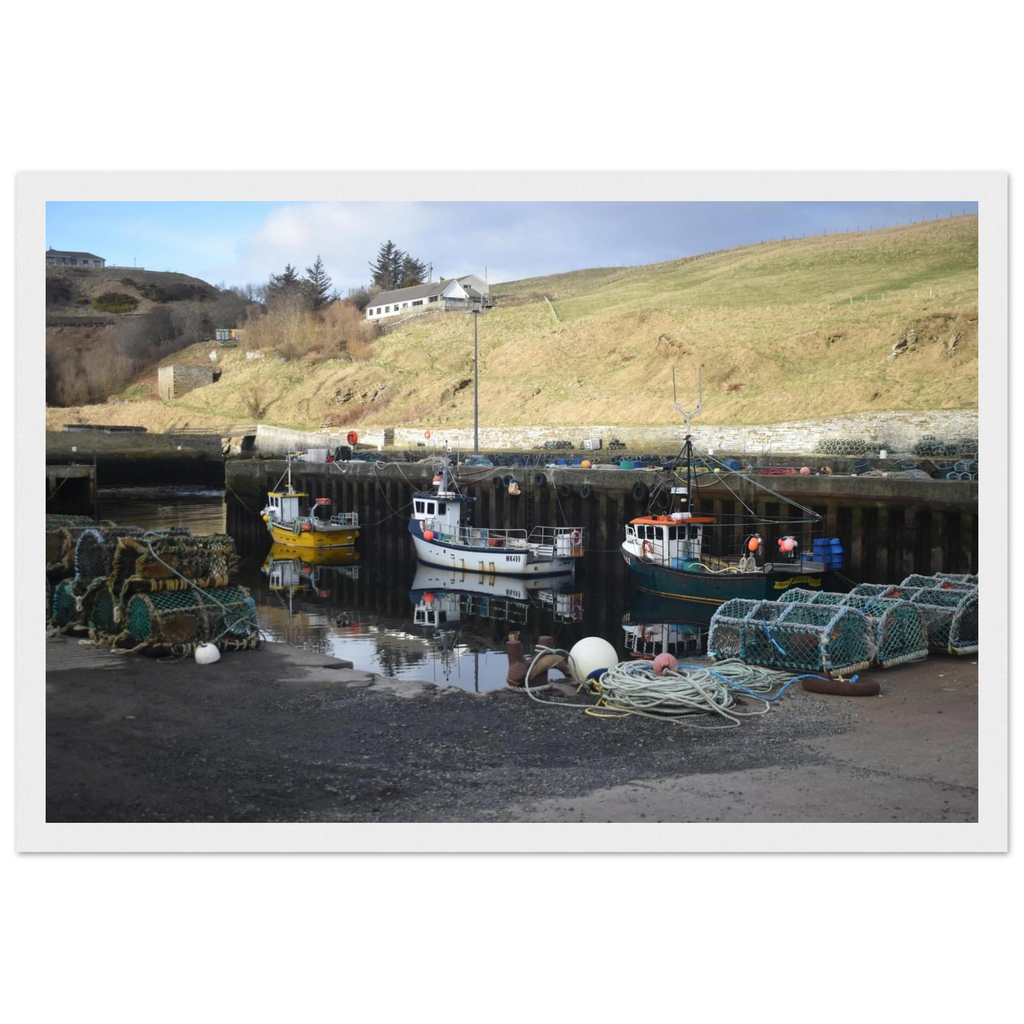 71bed8fe-bfcb-460b-a9ab-b7e0247f464f