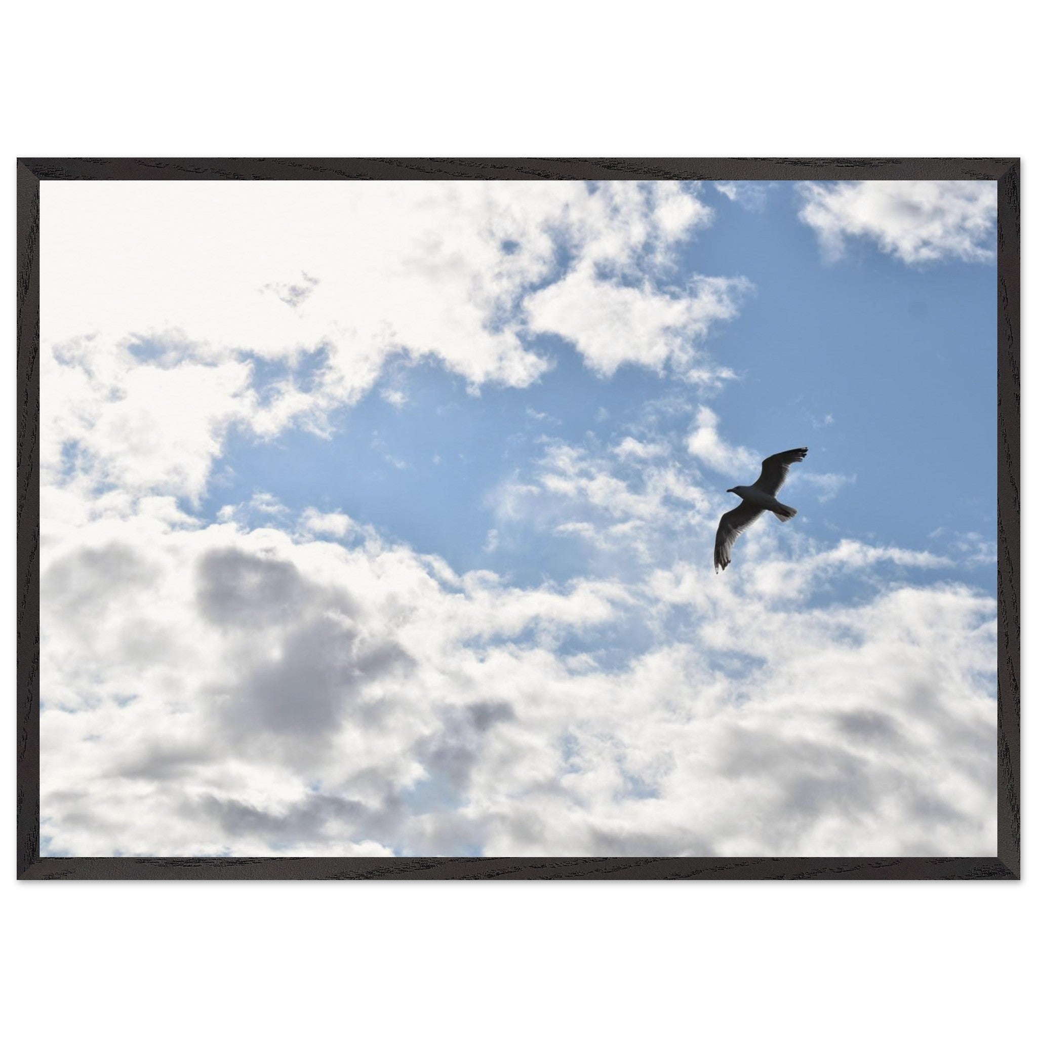 7381b9ac-53a6-46ac-b5bb-2884db9226d1