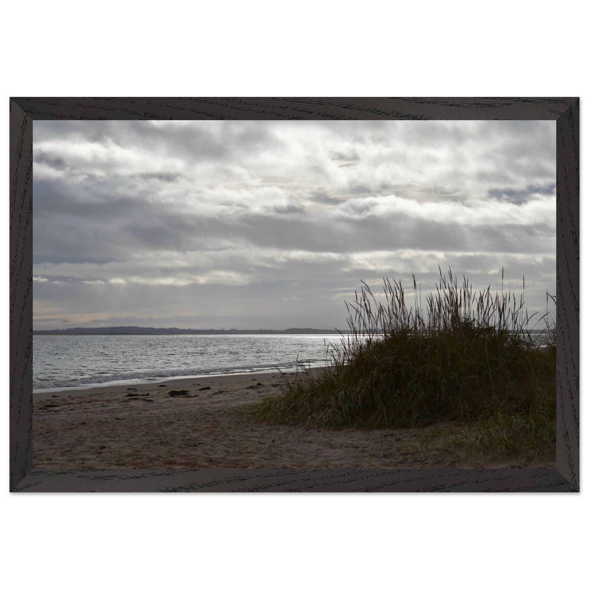 73859dec-29e0-4a3e-8340-38019a81bde3
