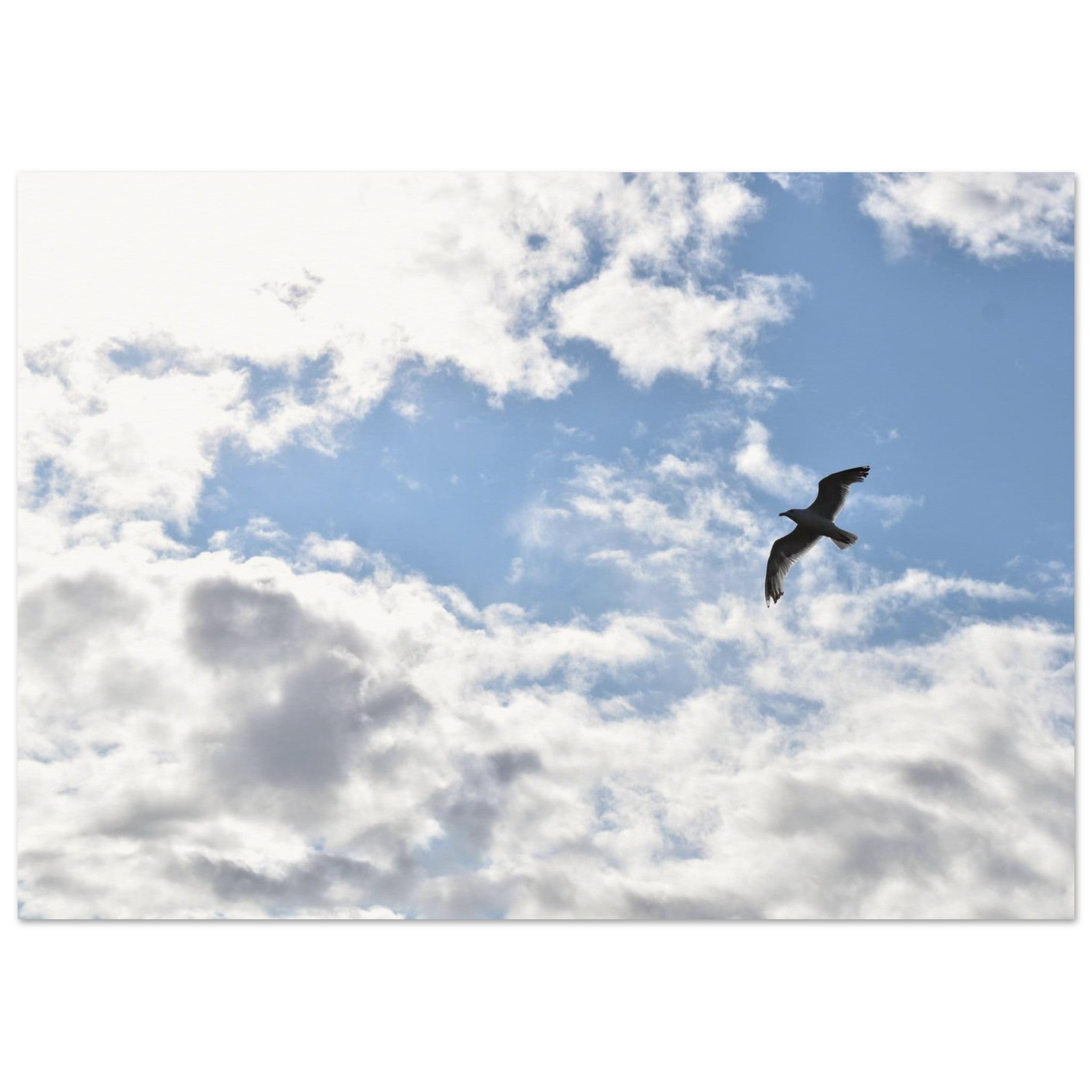 90f3b66c-adbc-43c3-91b0-a2993e7b5a02