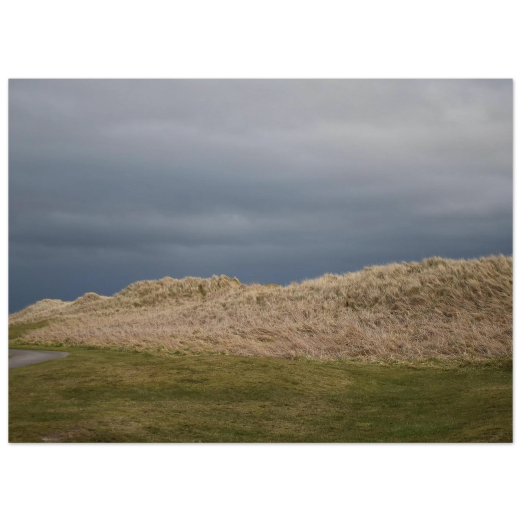 94cb9e51-4f06-4cb9-95c7-8a6a17548b2e