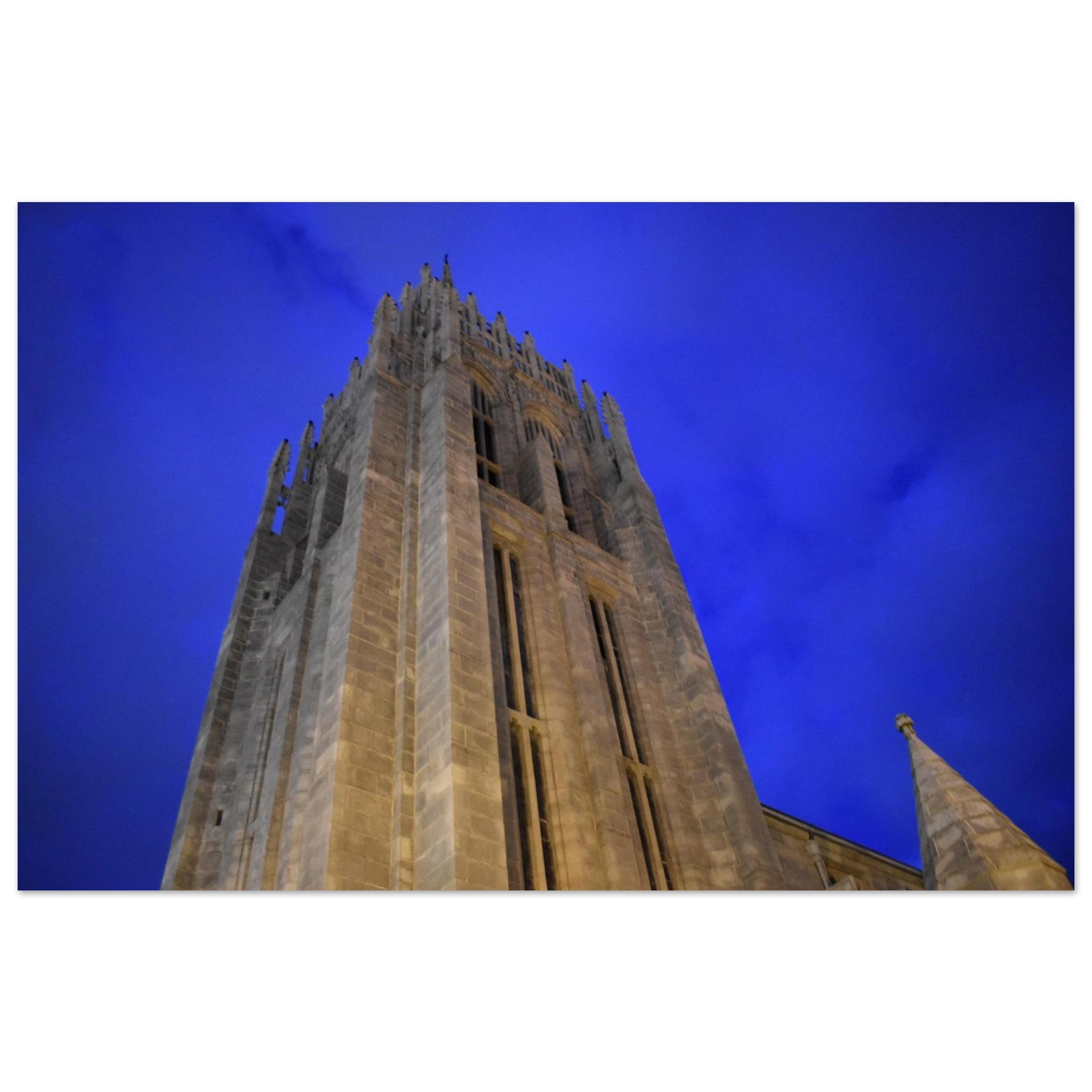 9623c534-15cf-4dc7-a94a-185879f4d8c7