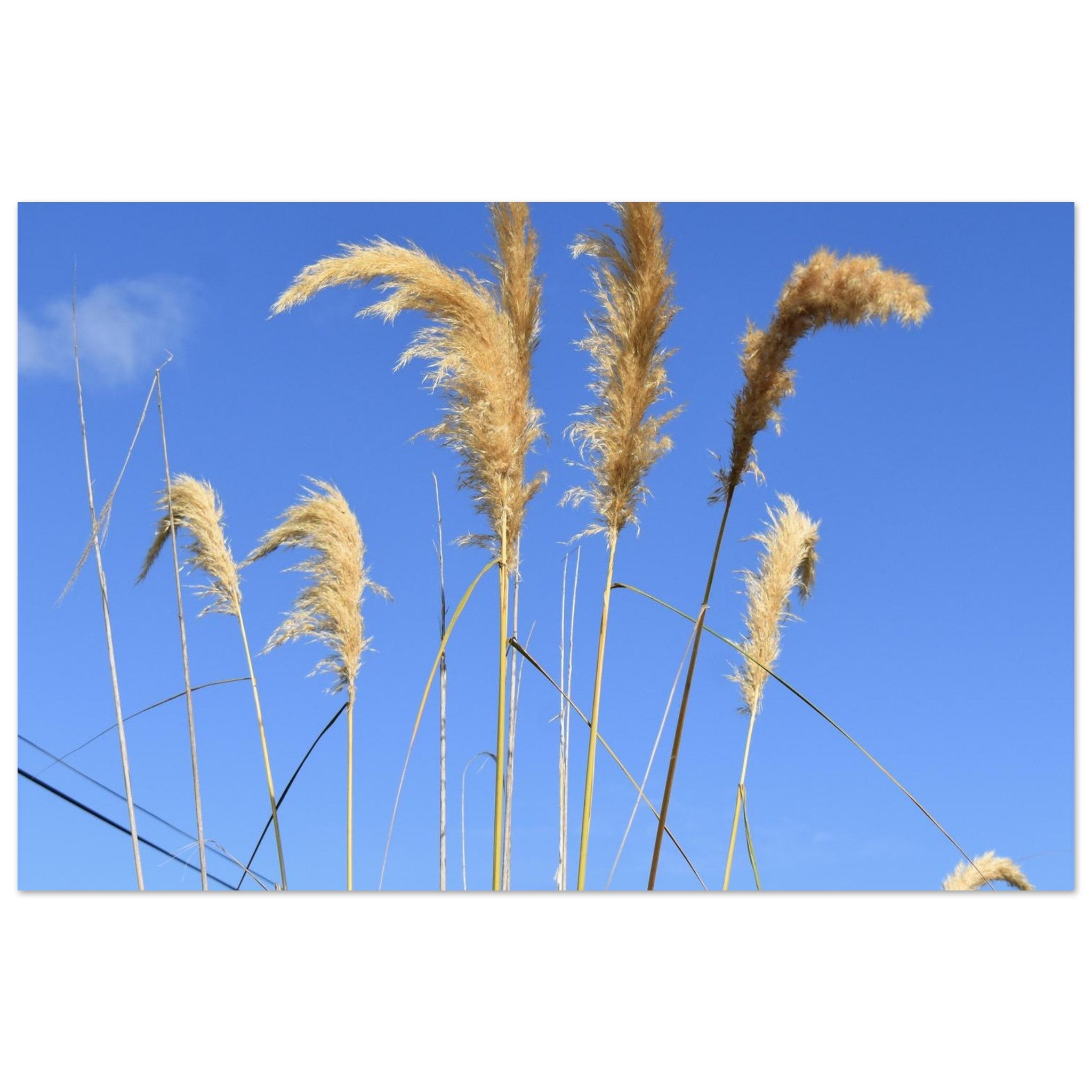 96cc1643-7af2-4cdb-b4d0-ee1809cfbff4