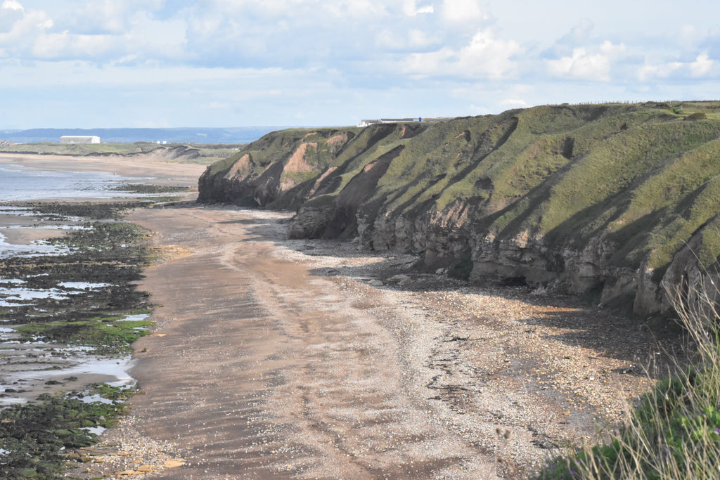 Echoes Along Blackhall Cliffs