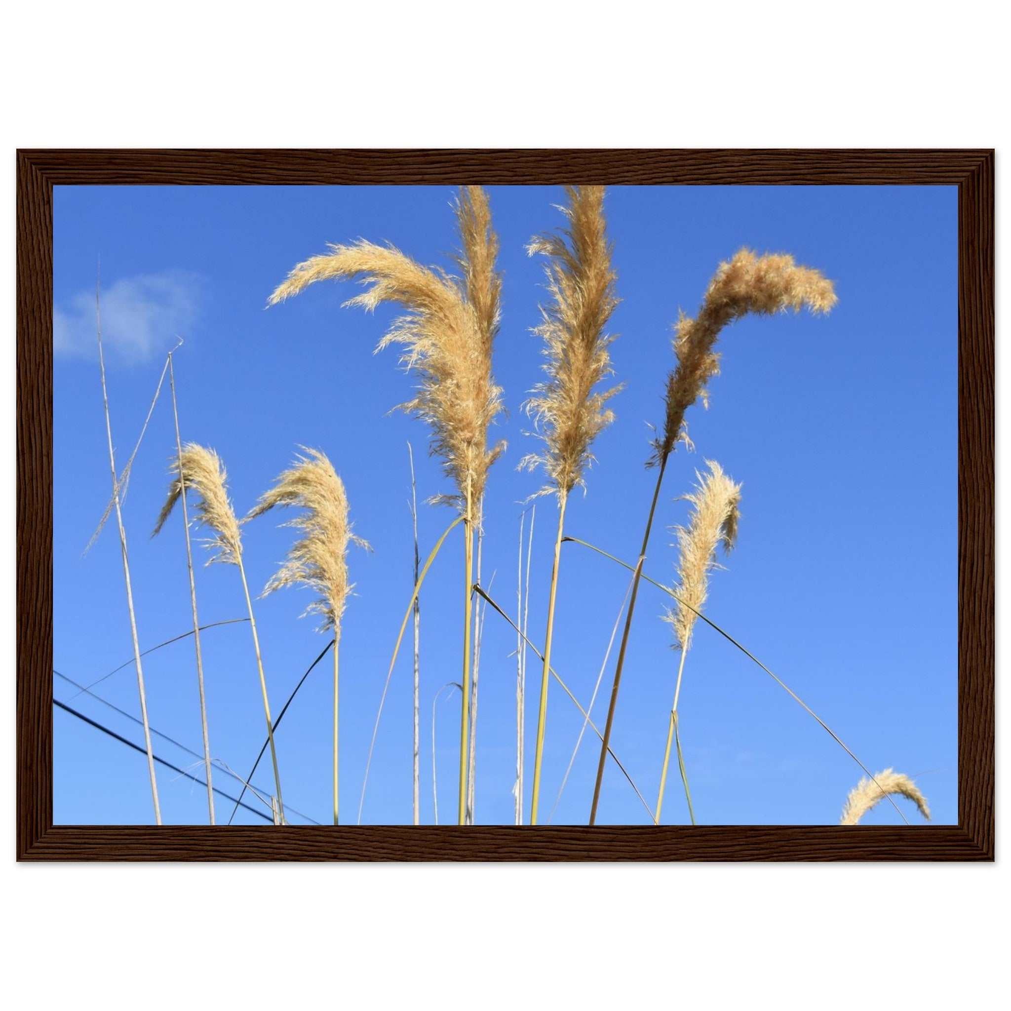 a4e7bfd3-1aea-4ad8-91dc-c0810df86b11