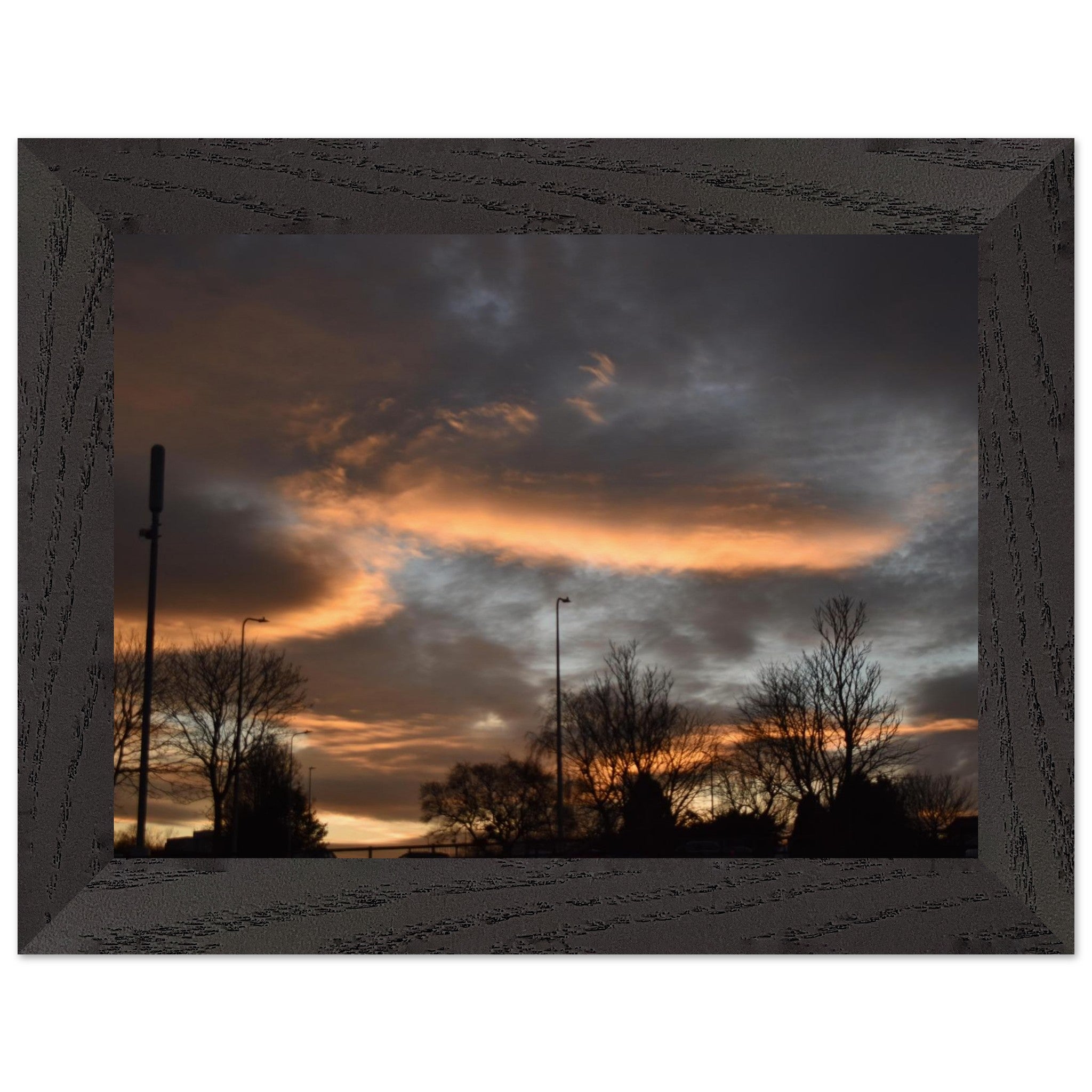 a724421c-cad9-4b14-9c73-1219873cac92