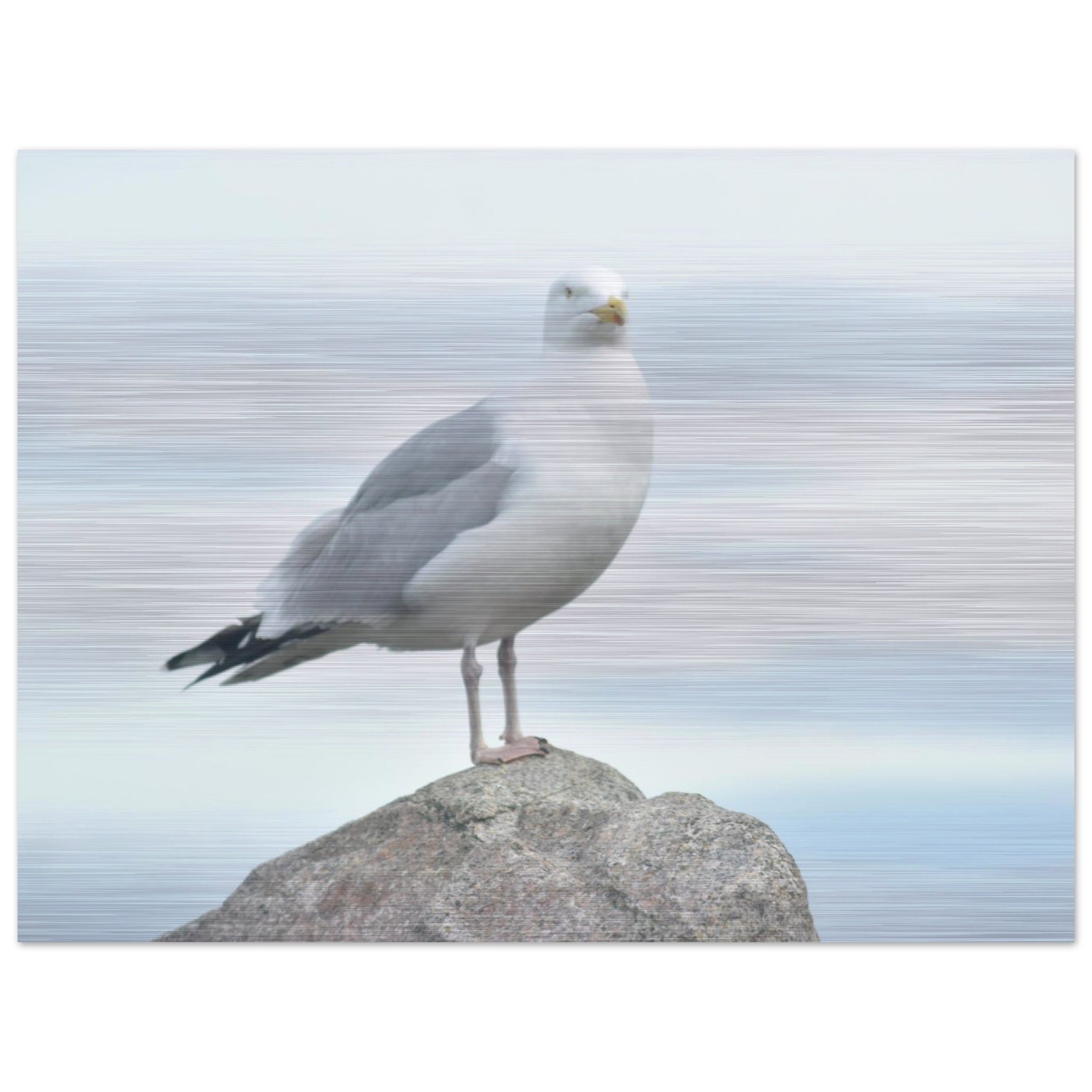 a78c5a60-66db-497a-b624-57cc9c129cd5