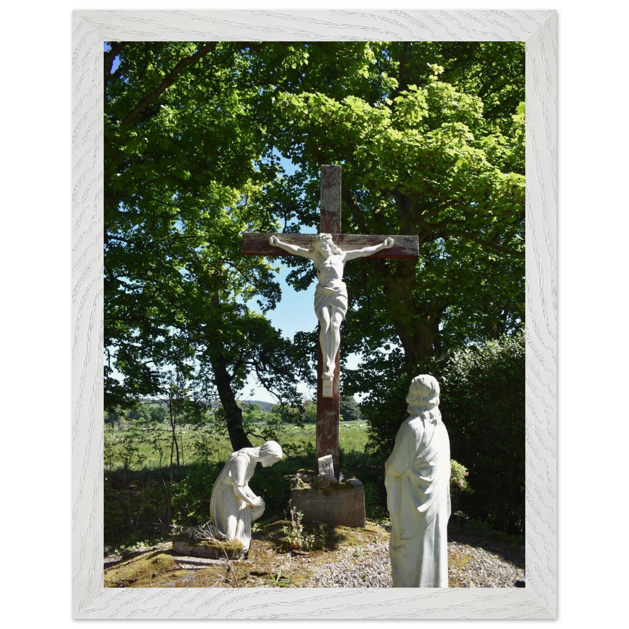 a850def7-4cd6-48b0-87ba-93ba7a378e88