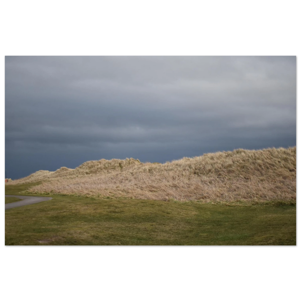 ace929db-b409-4d81-a140-2e4560cca66e