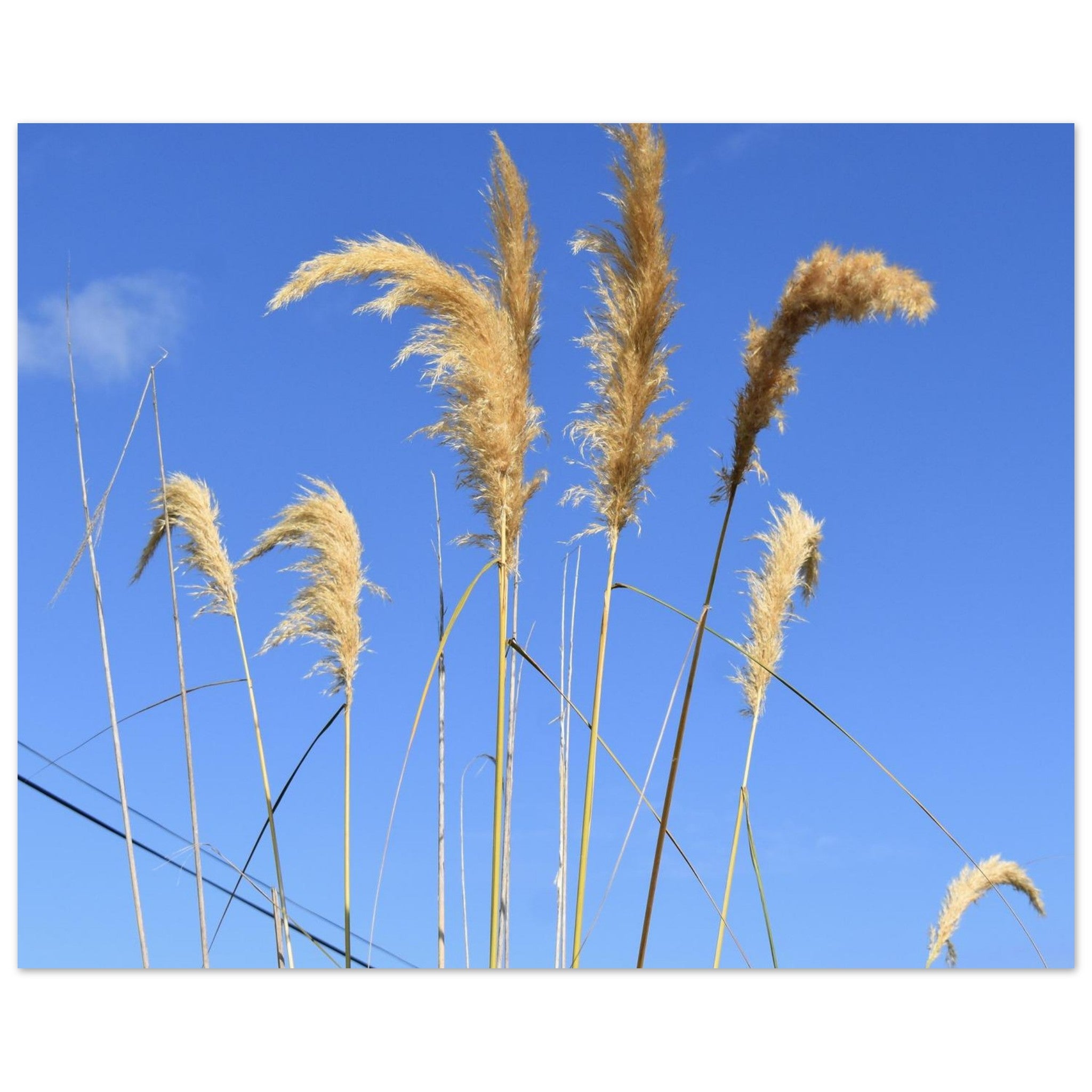 b10fe208-c415-4cb0-b3d0-61090f07dadd