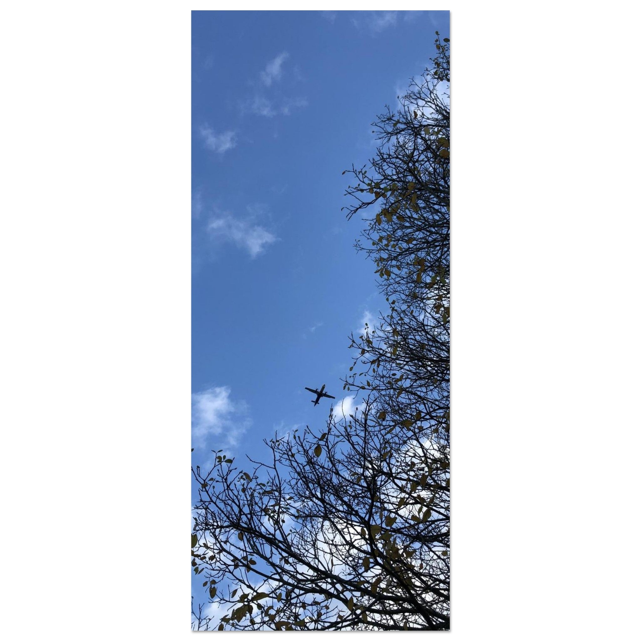 b3a61a83-c2e0-47ff-ba21-a99b2f886d75