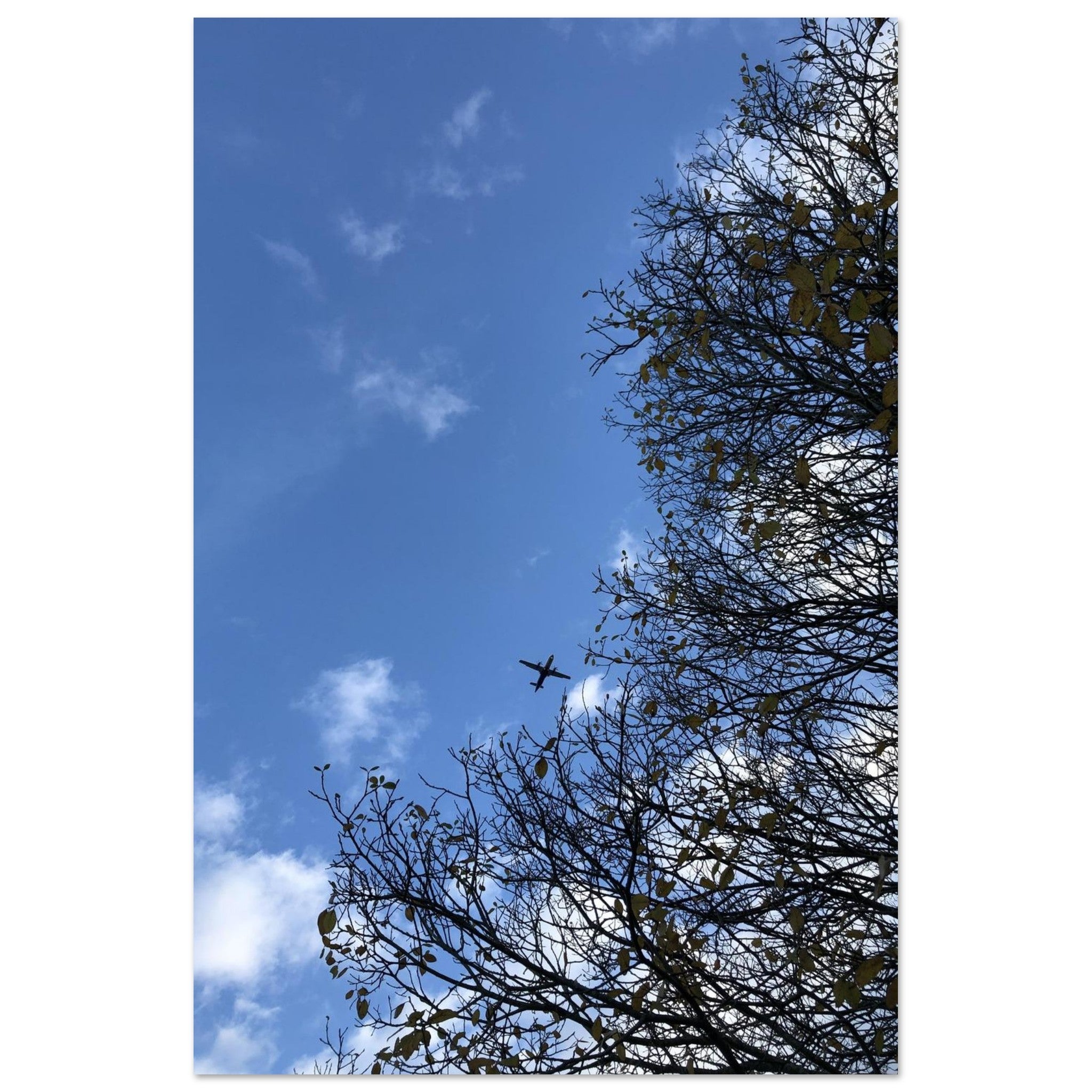 b47f2b87-bee6-4c77-adeb-374031f64291
