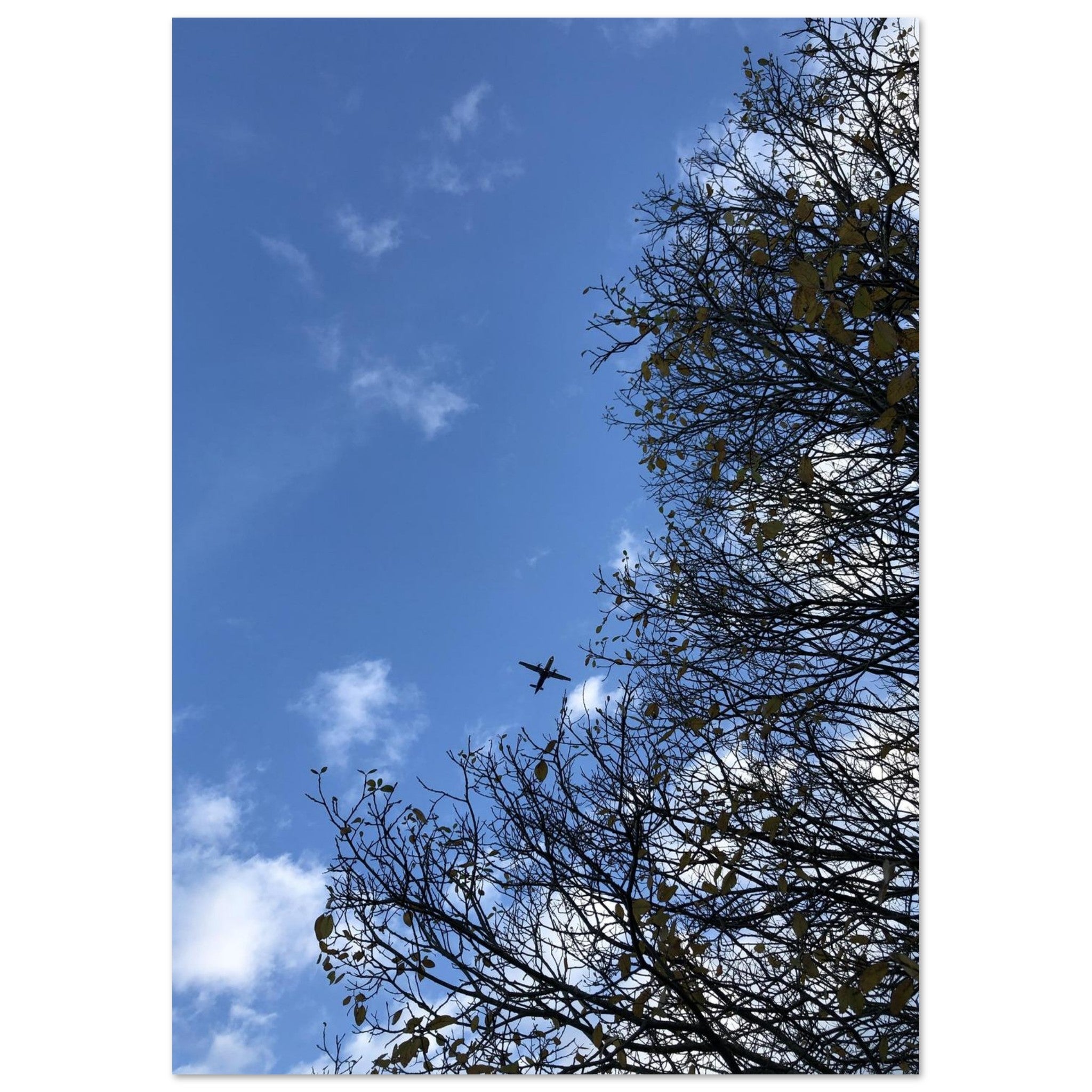 c1861398-ef54-4d85-8ce1-ef826ac69f3b