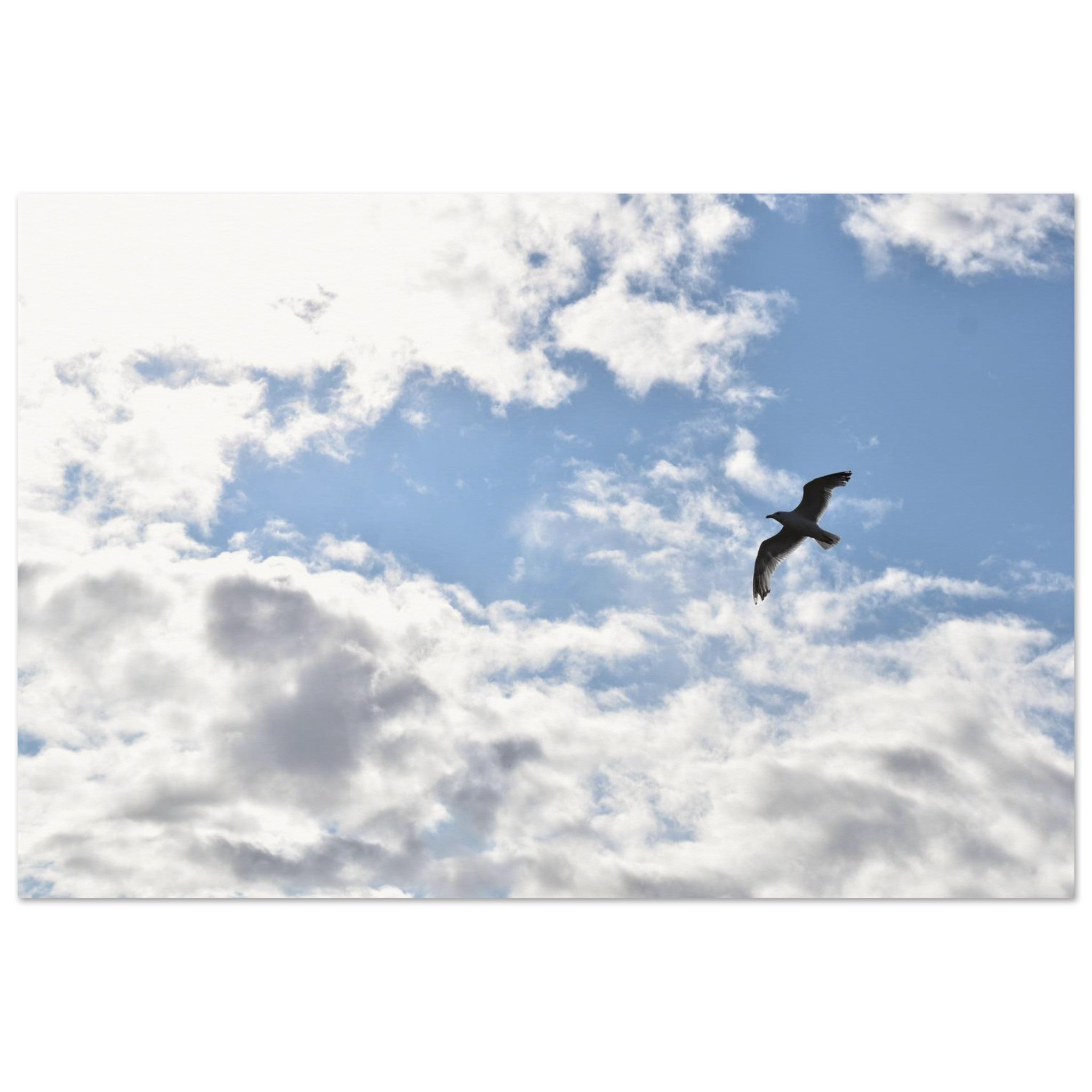 c5afd704-98d6-440f-ab5b-89611a657284