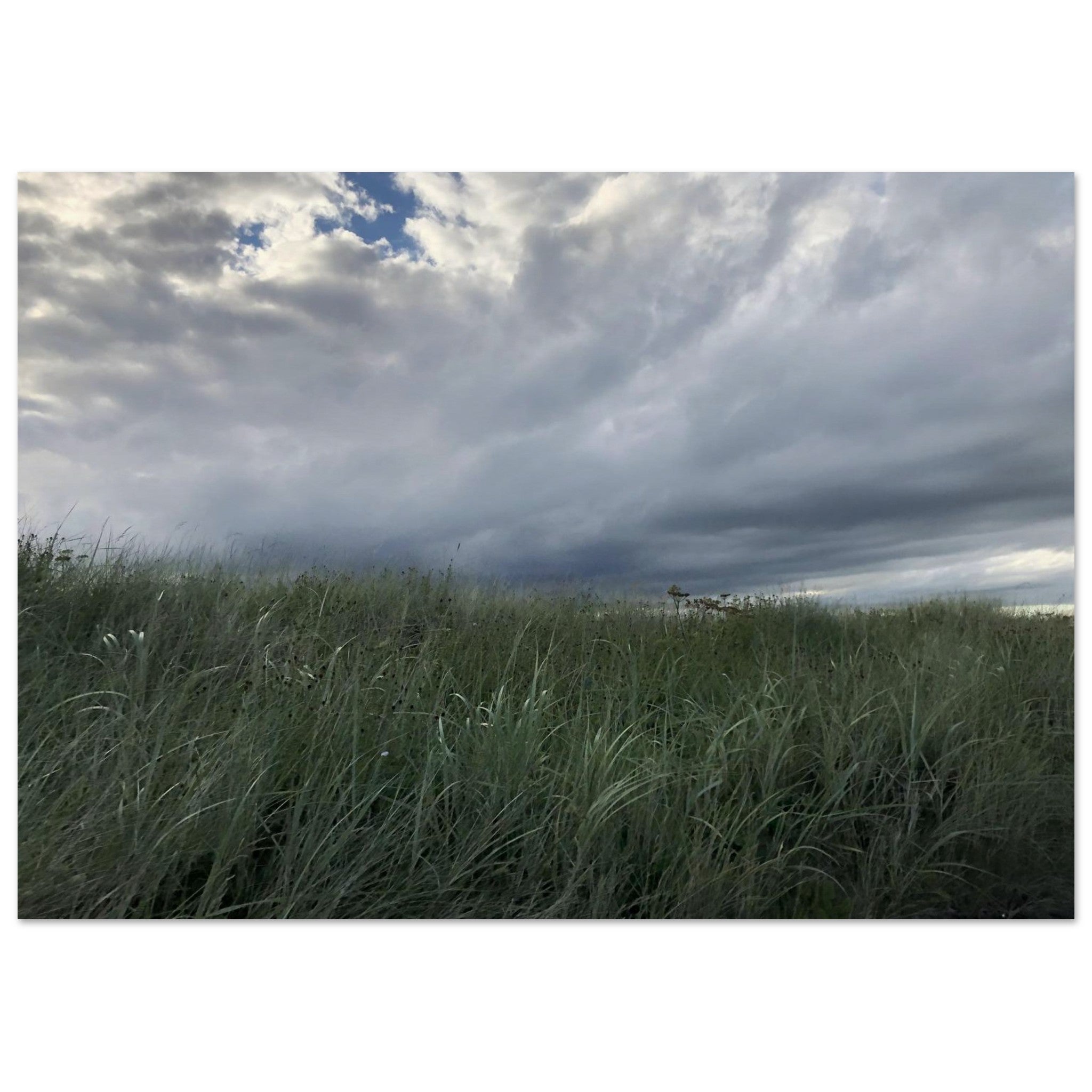 c7d6f6b5-46e6-4522-8635-7081302171dc