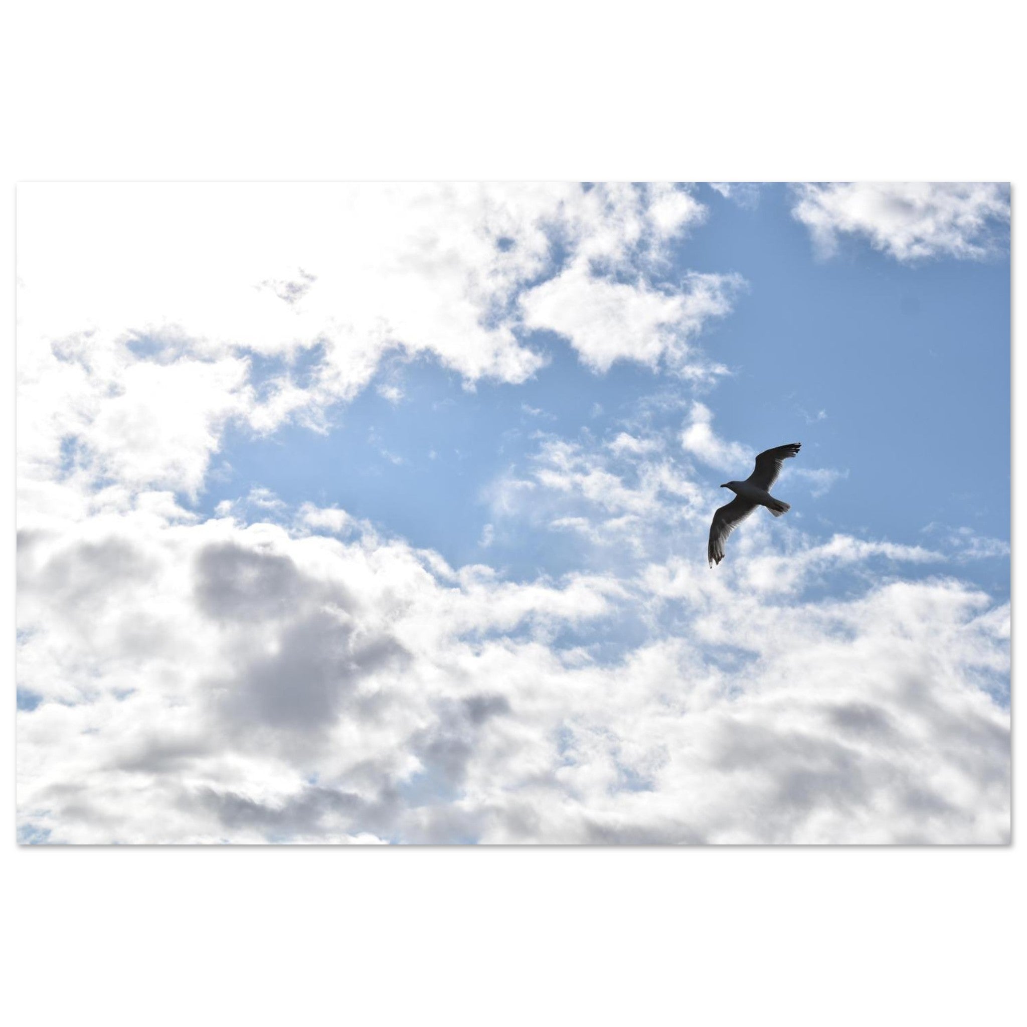 c9b05e33-91a8-42ba-9143-347b85707b7d