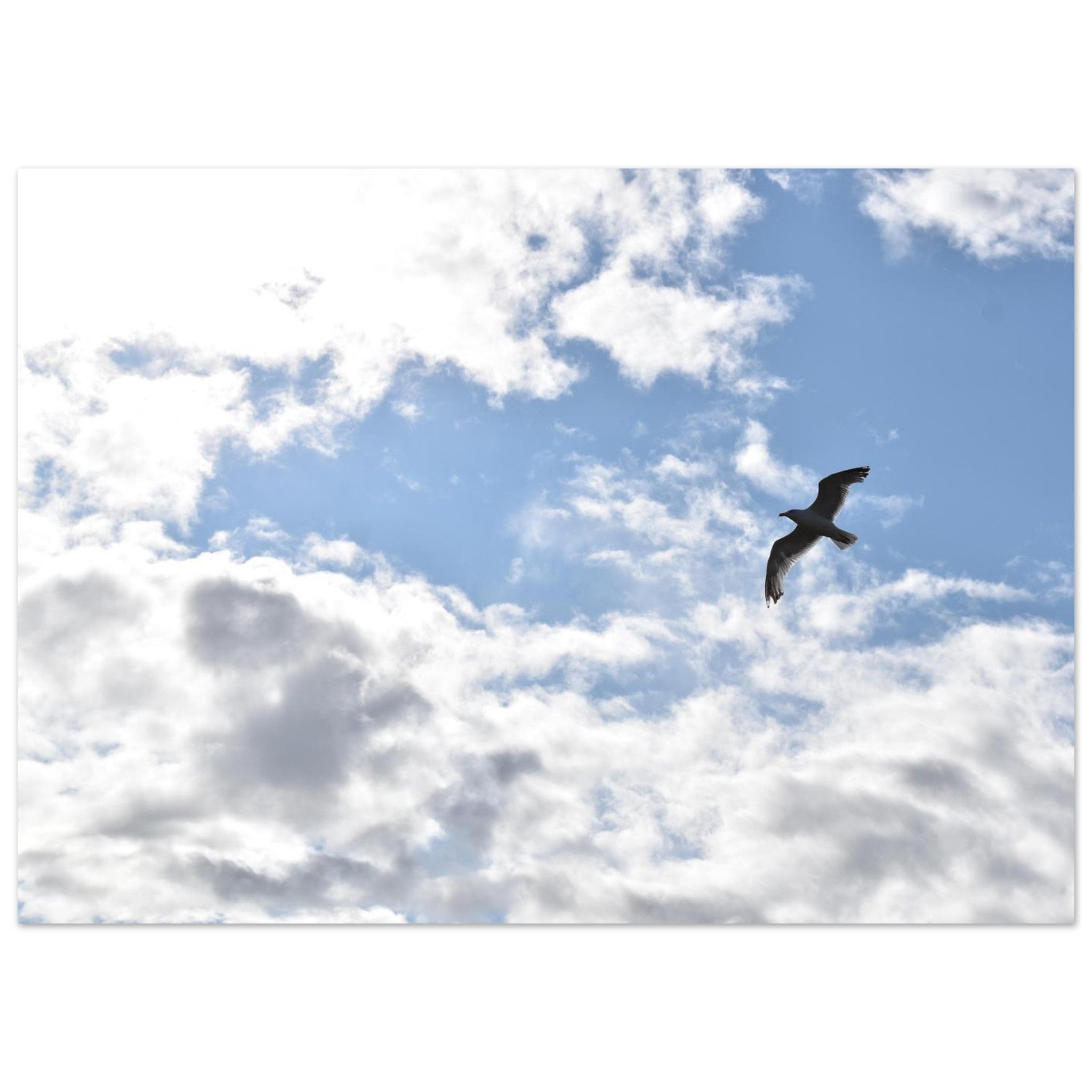 cc141e24-08b4-4cb7-8309-2d299b8a4e67